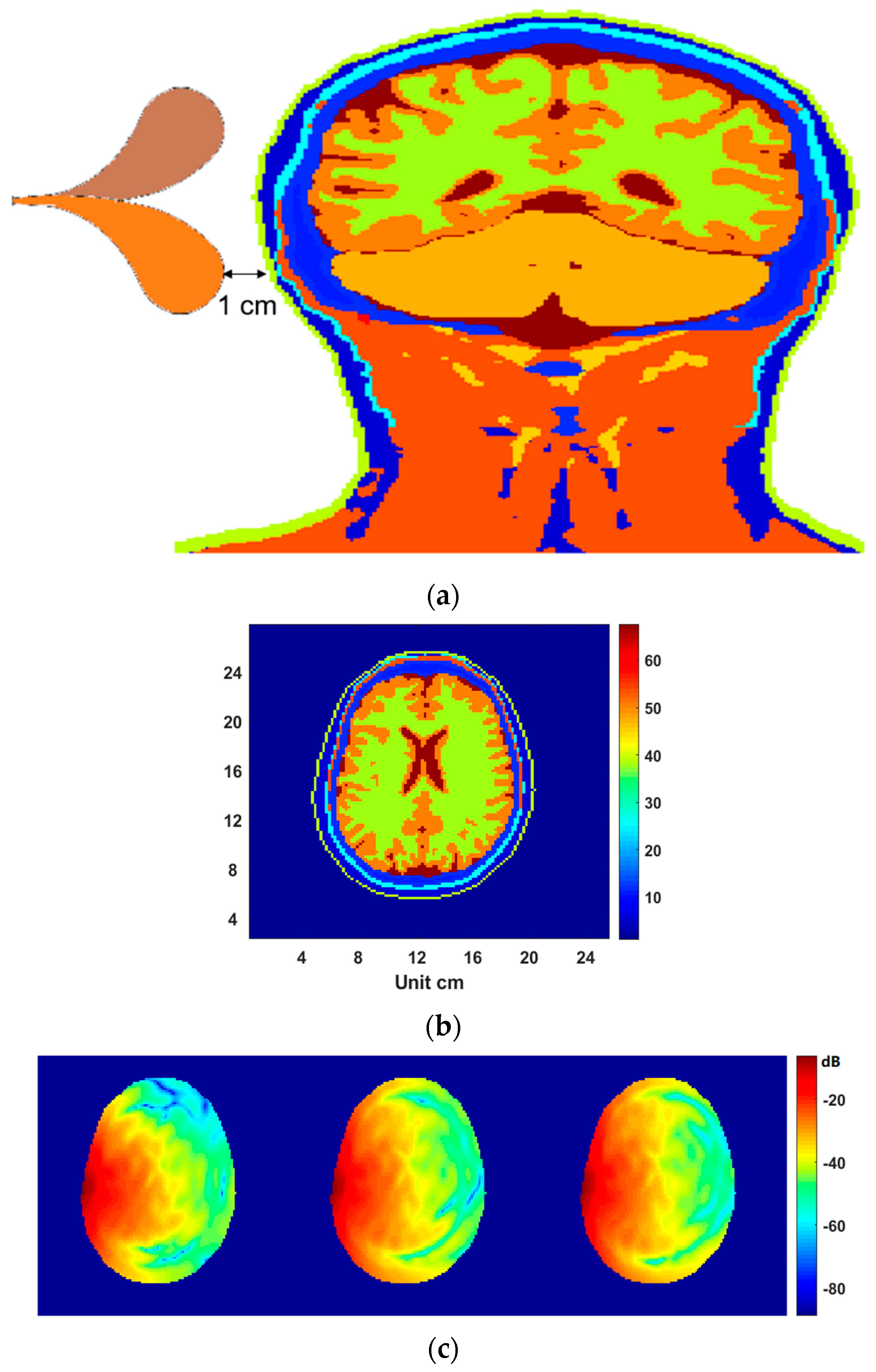Diagnostics 12 02906 g007 Diagnostics 12 02906 g007
