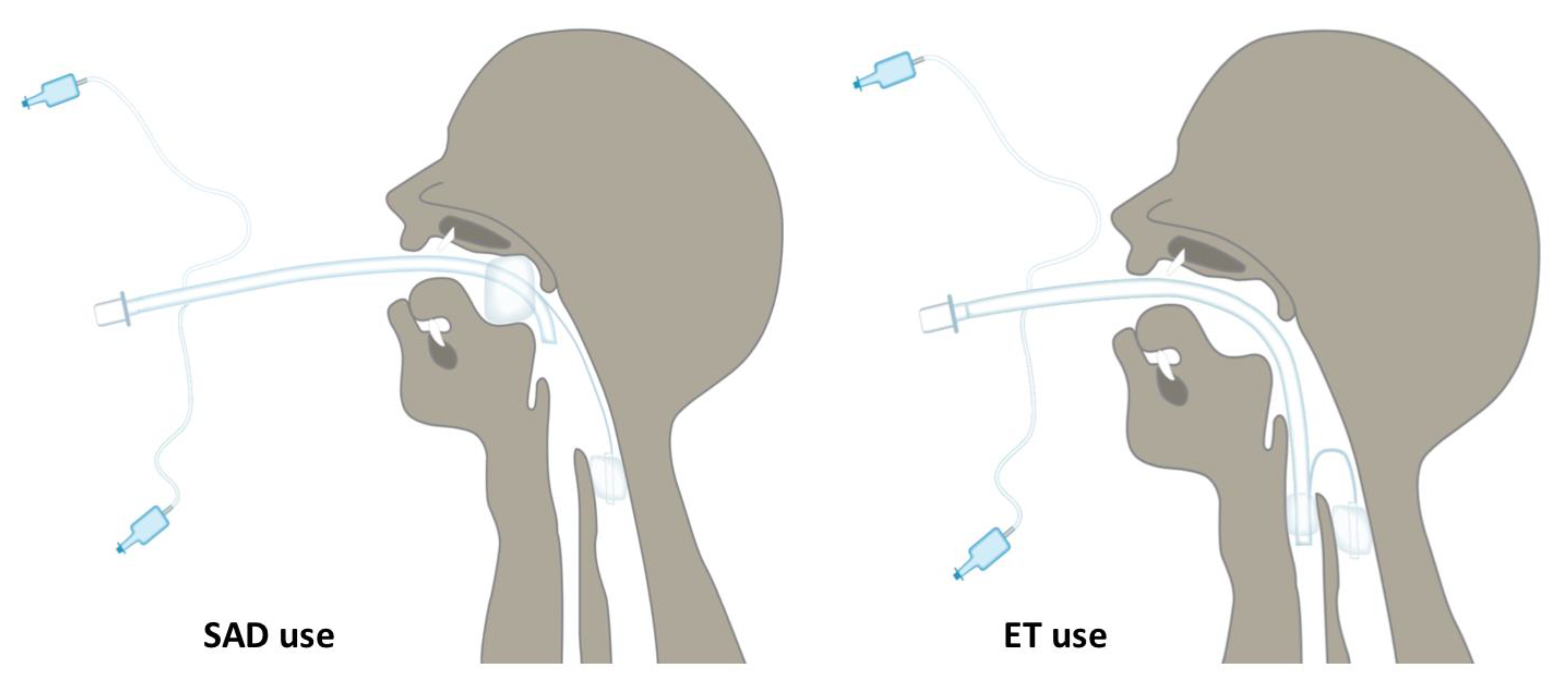 Diagnostics Free FullText Radiologic Imaging of the In Vivo