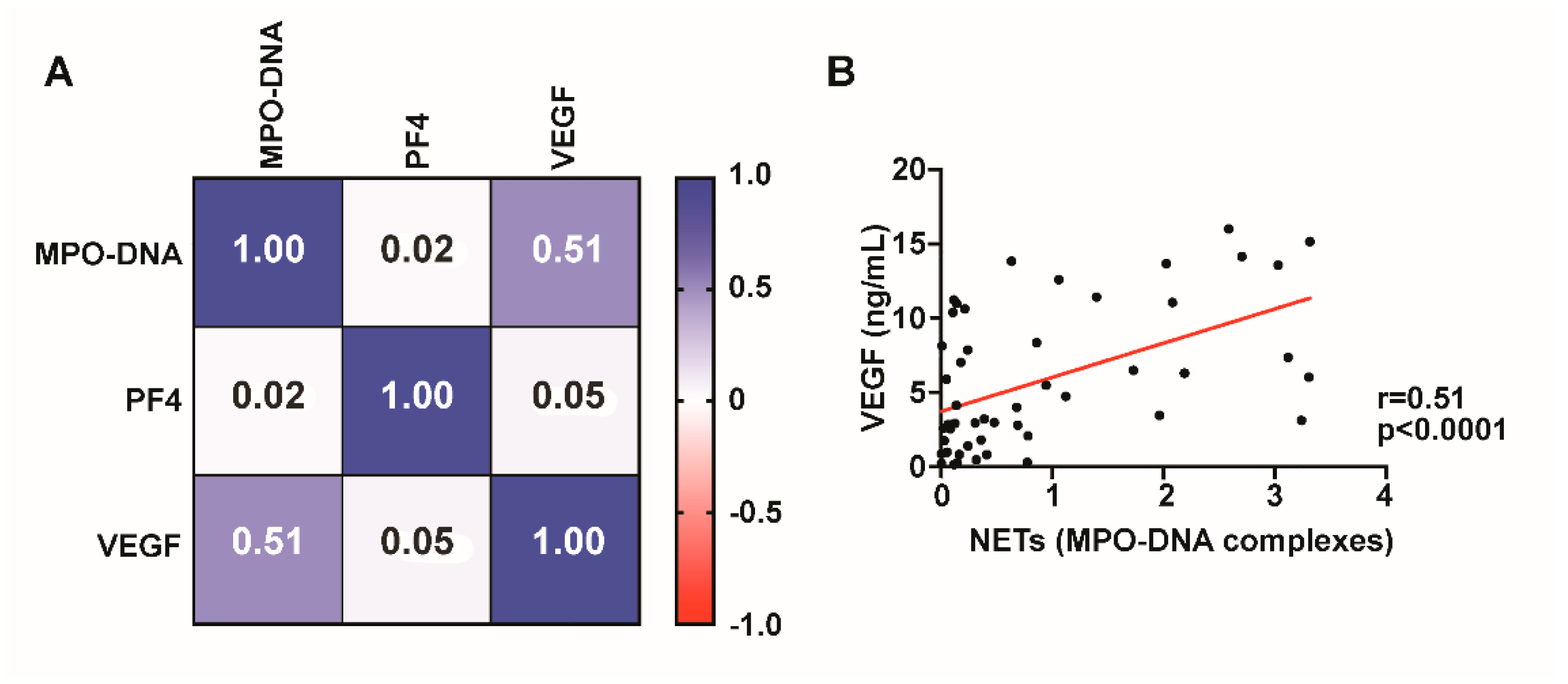 Diagnostics 12 02934 g003