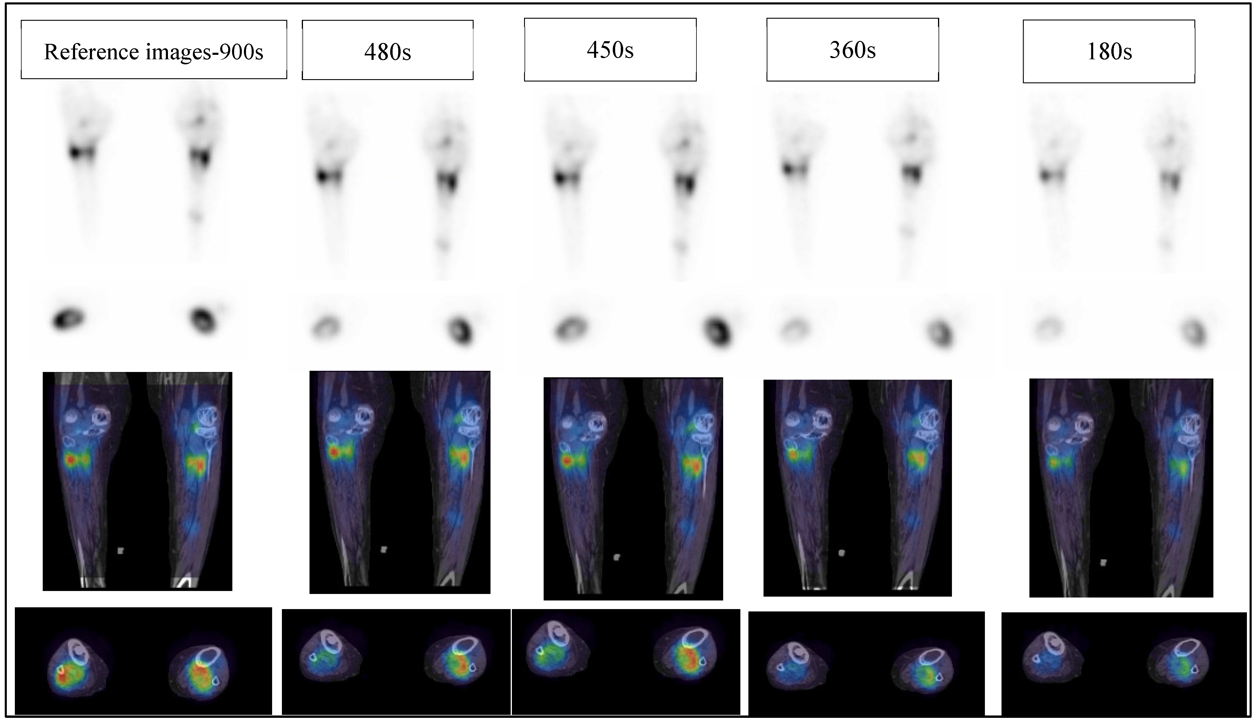 Diagnostics 12 02938 g004