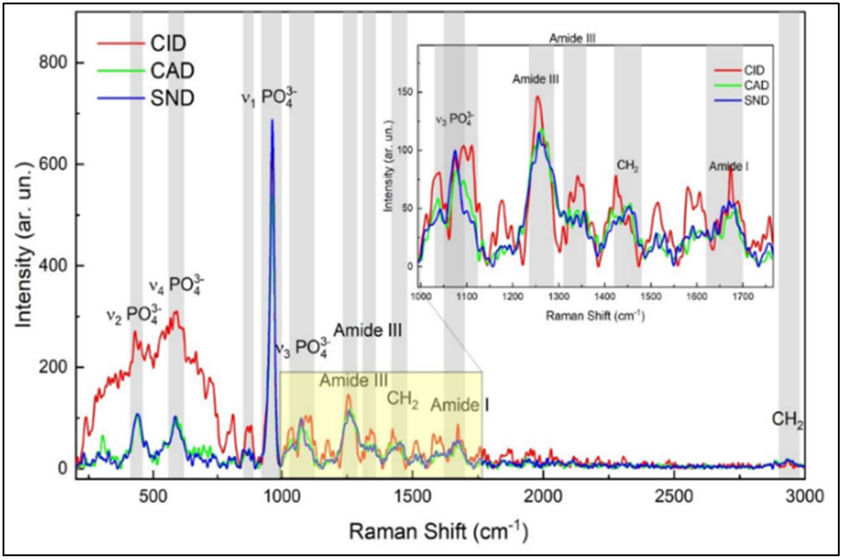 Diagnostics 12 02944 g002