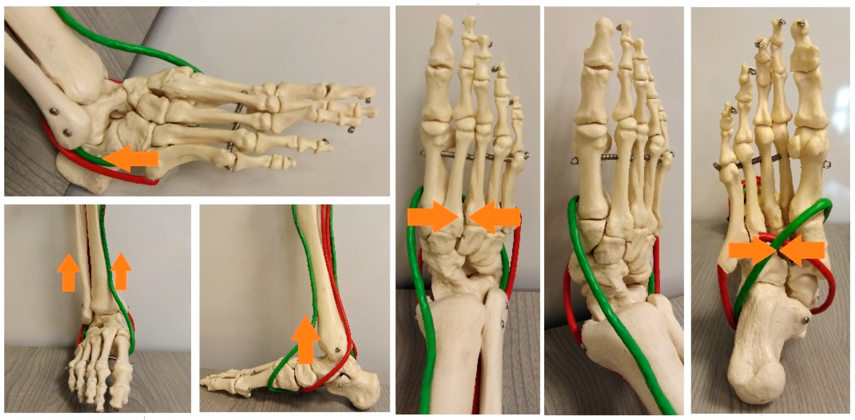 Diagnostics 12 02945 g005
