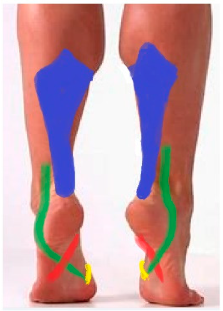 Diagnostics 12 02945 g006