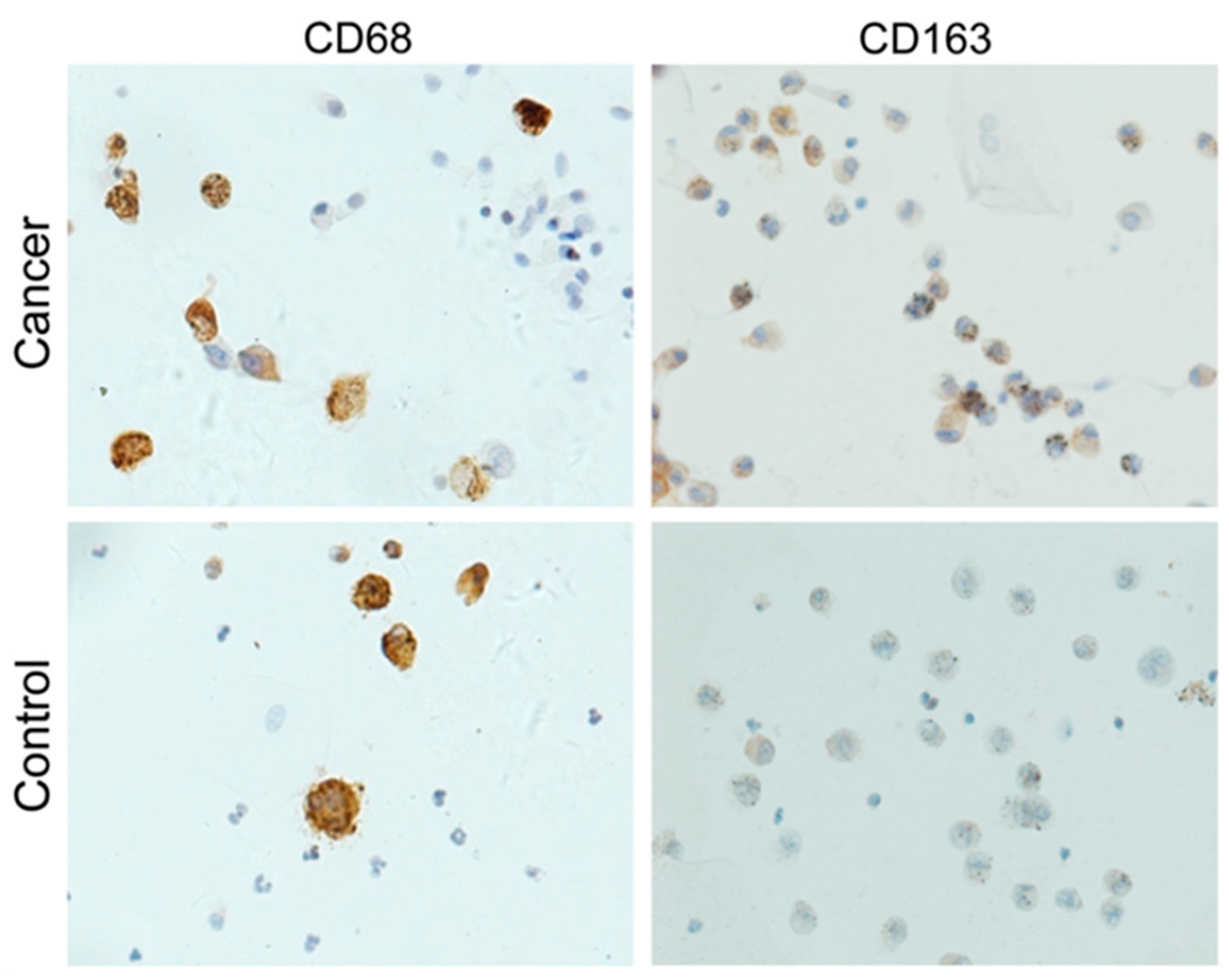 Diagnostics 12 02949 g002 Diagnostics 12 02949 g002