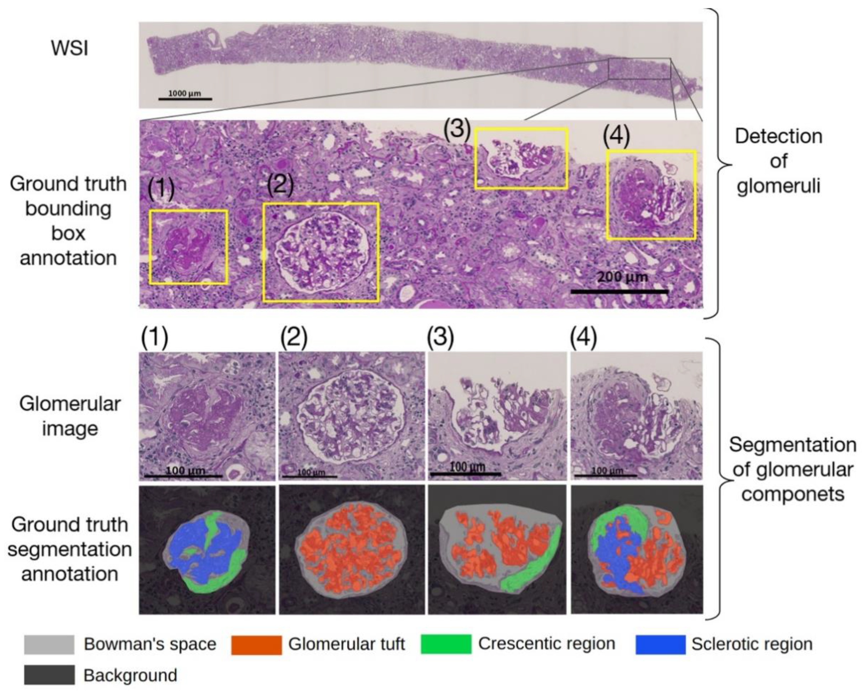 Diagnostics 12 02955 g001