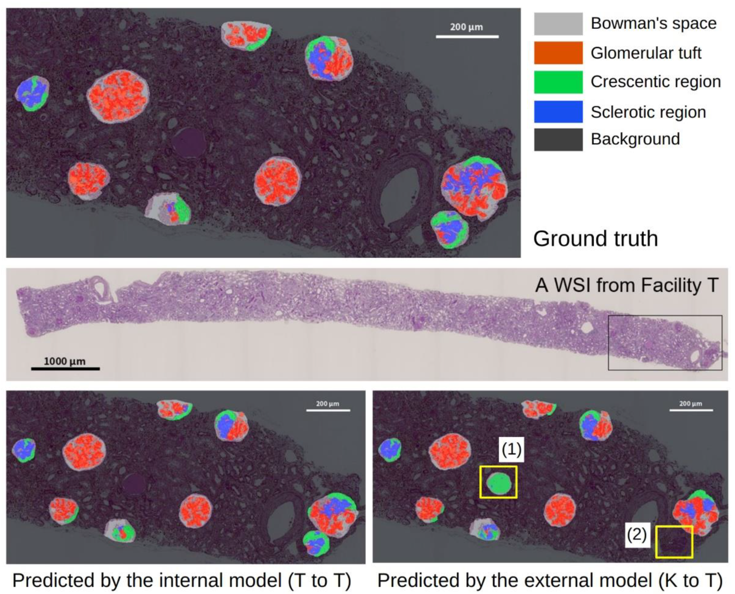 Diagnostics 12 02955 g003