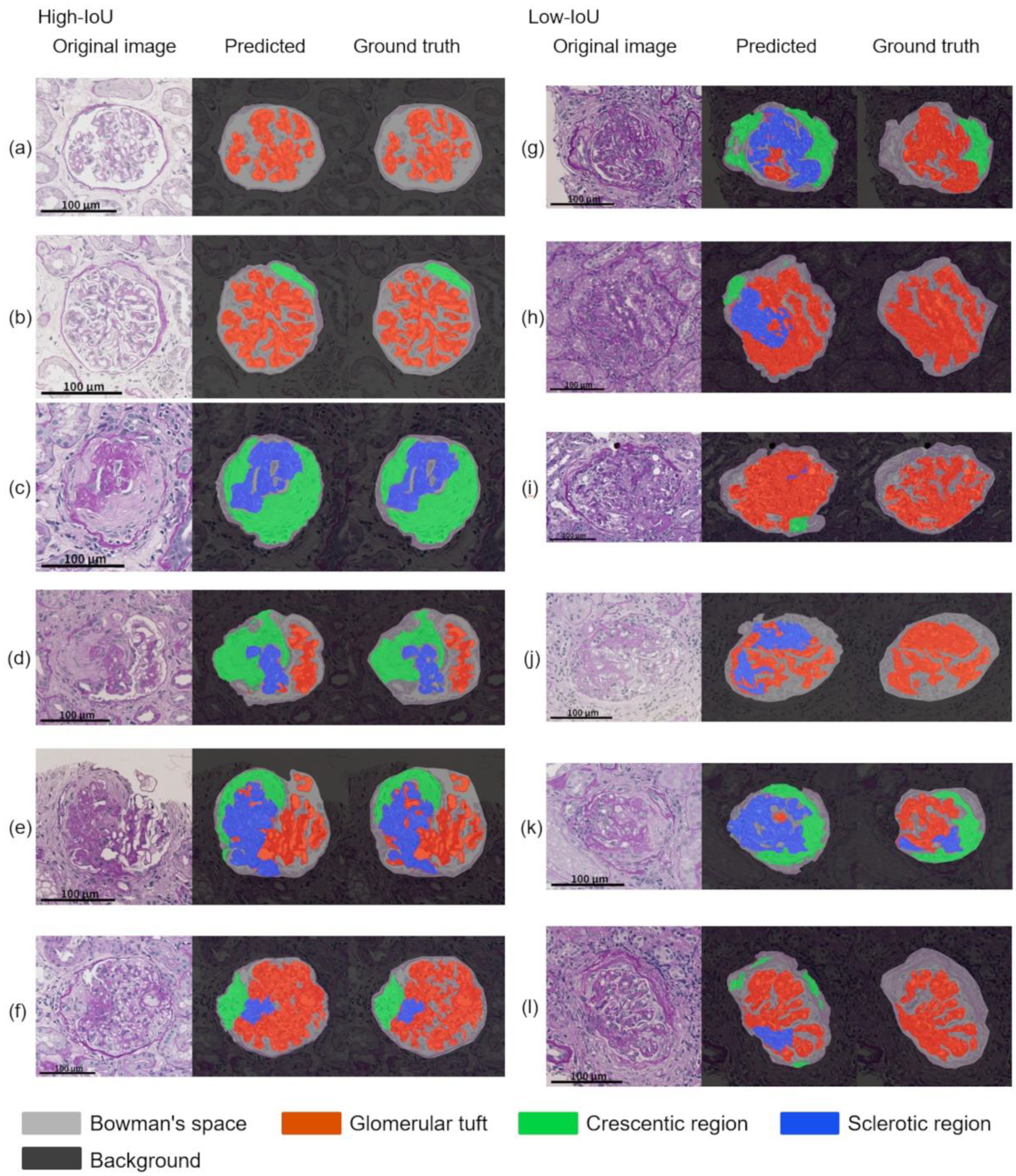 Diagnostics 12 02955 g004
