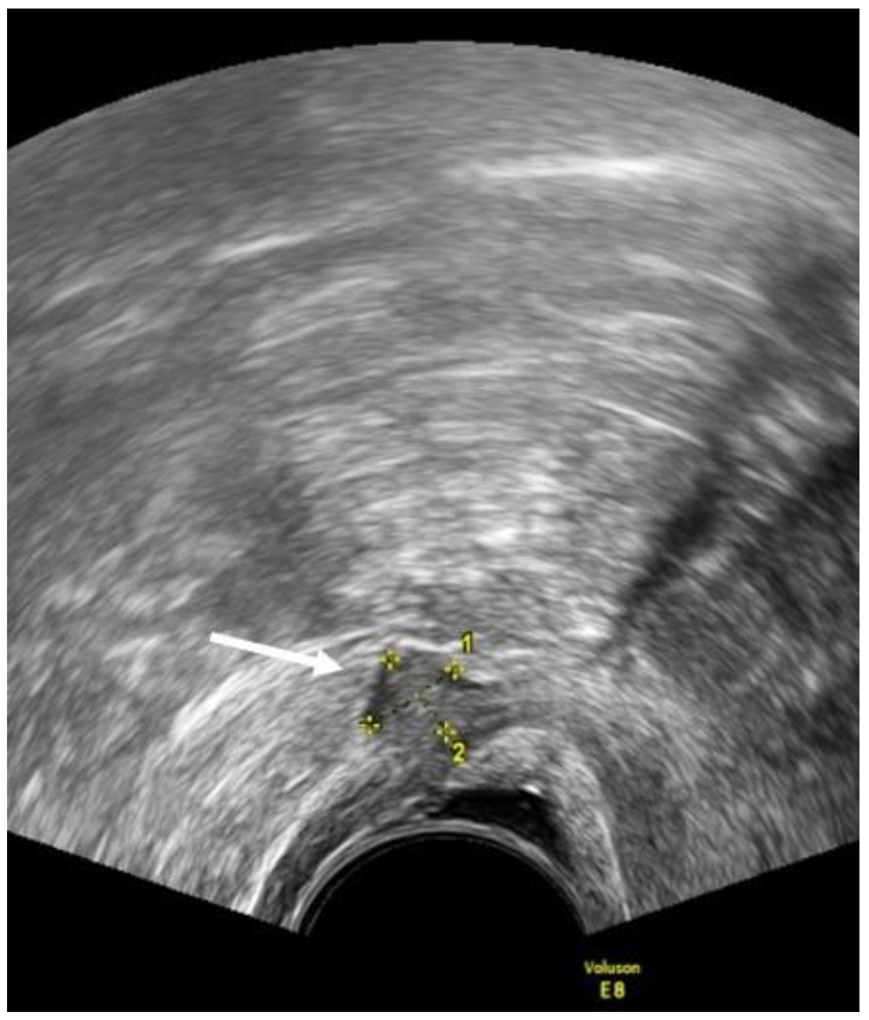 Diagnostics 12 02960 g002