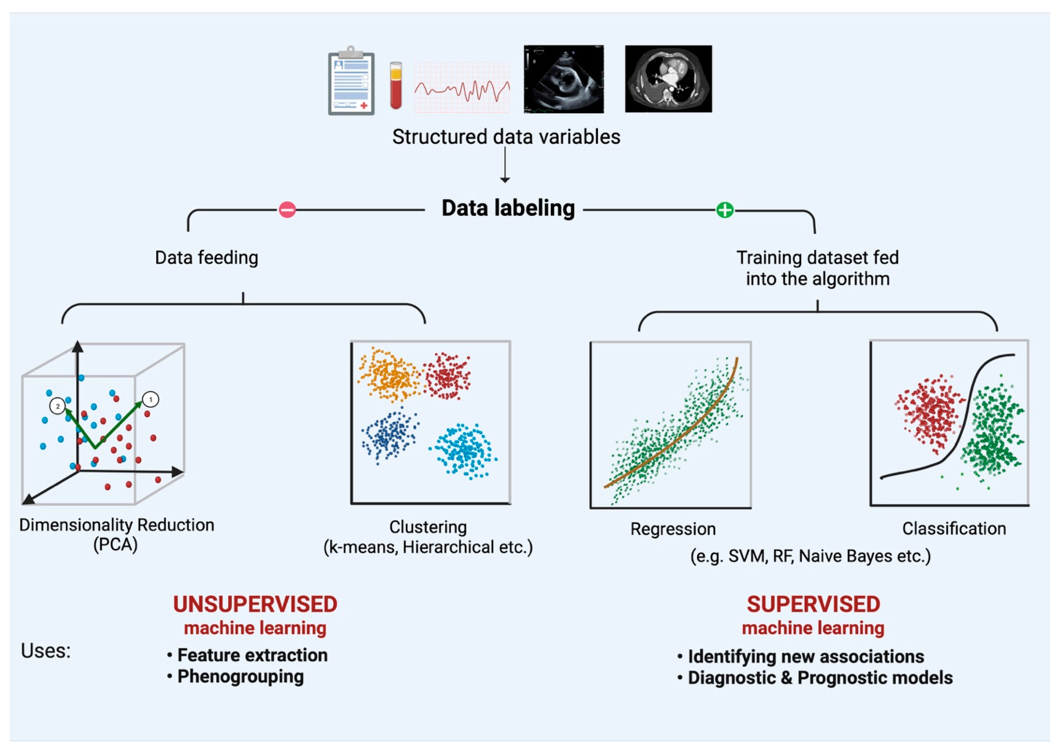 Diagnostics 12 02964 g001 Diagnostics 12 02964 g001