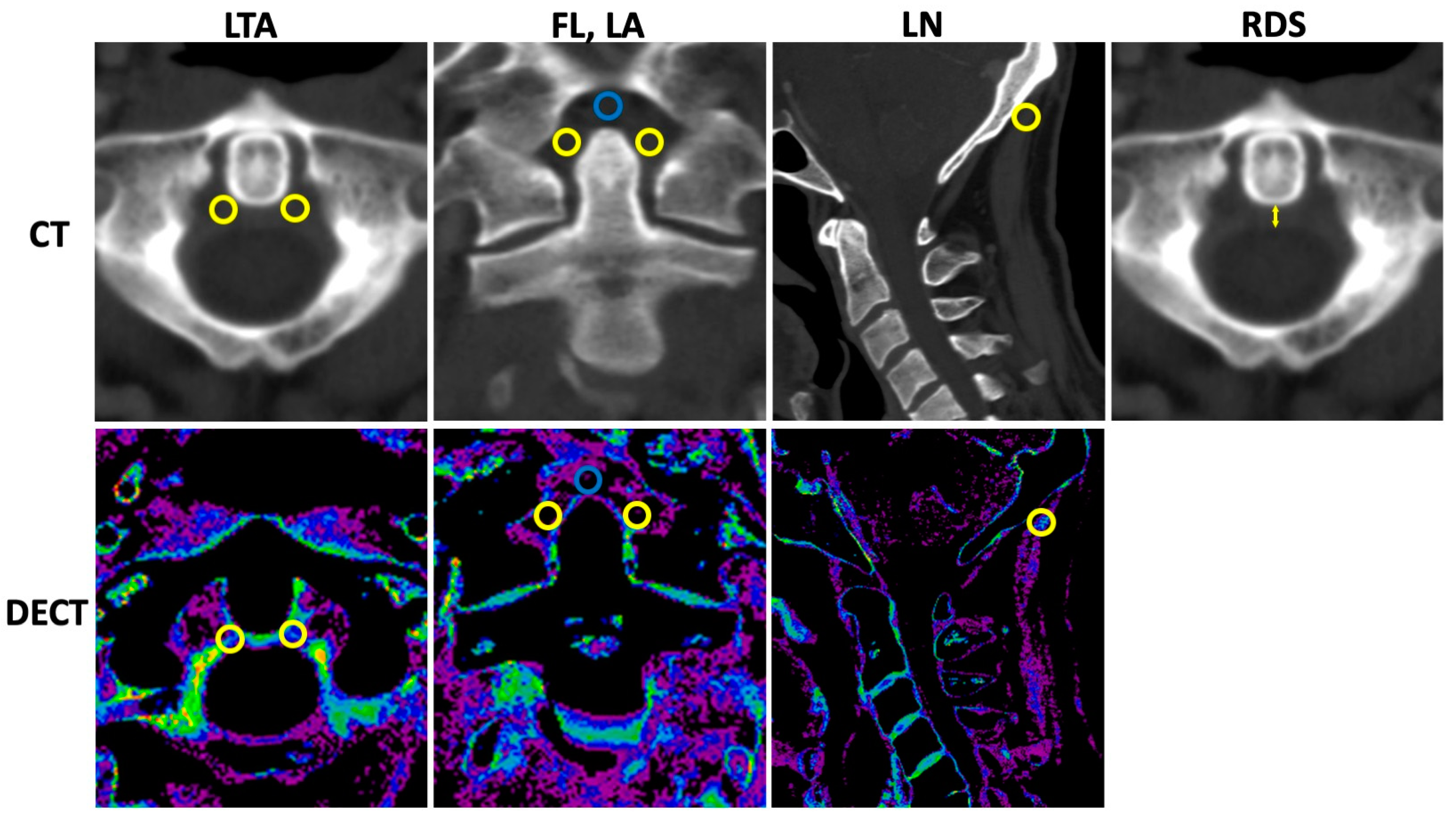 Diagnostics 12 02966 g001