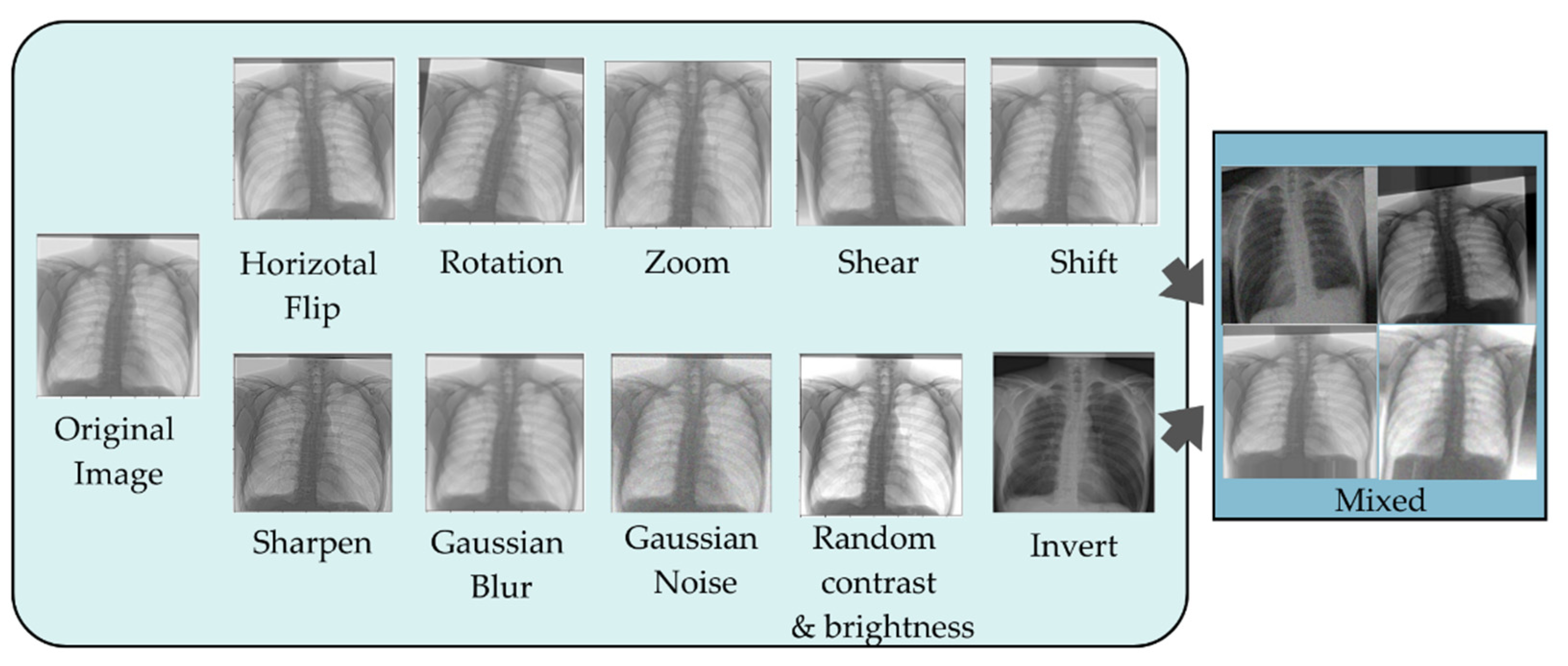 Diagnostics 12 02980 g003