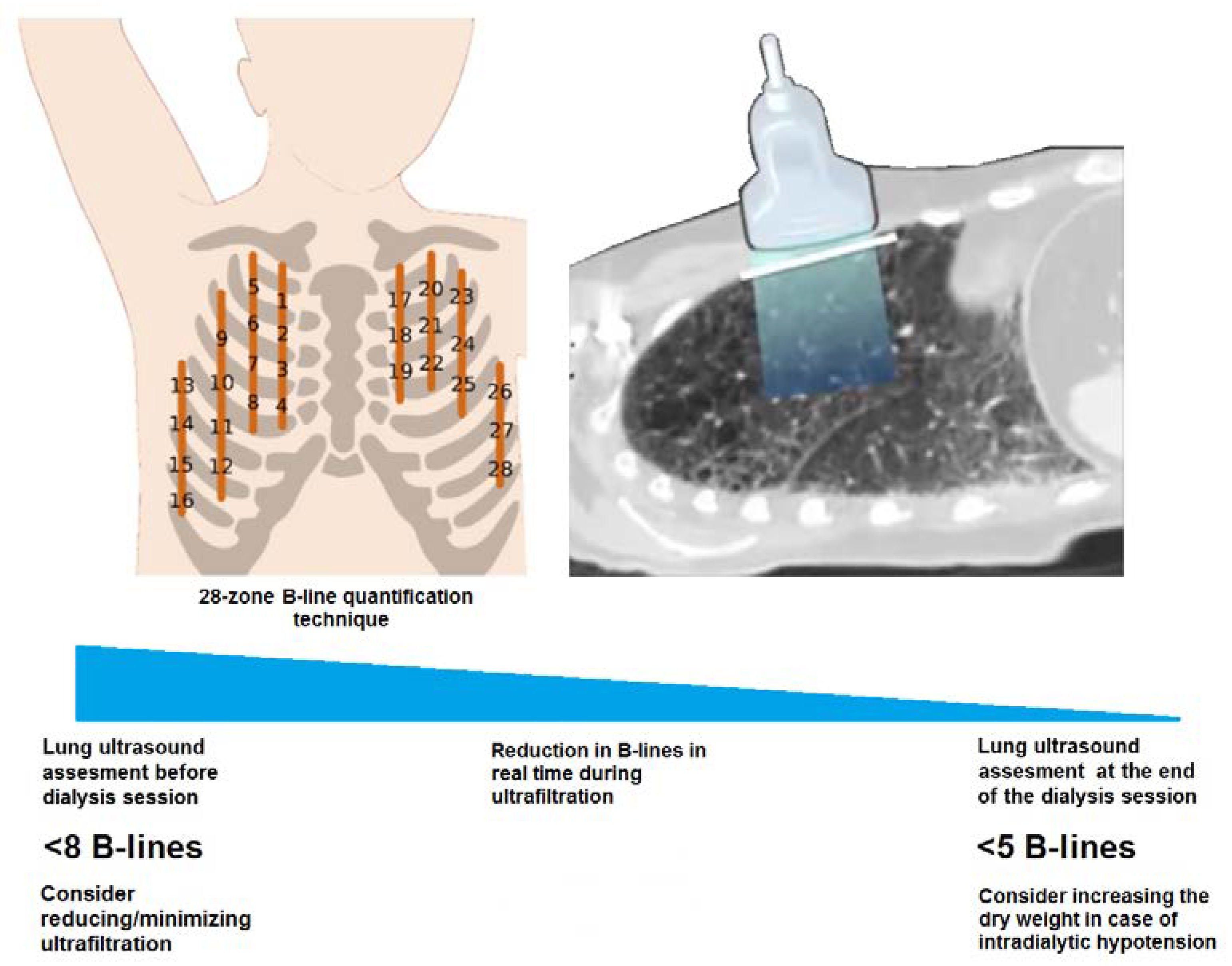 Diagnostics 12 02990 g003