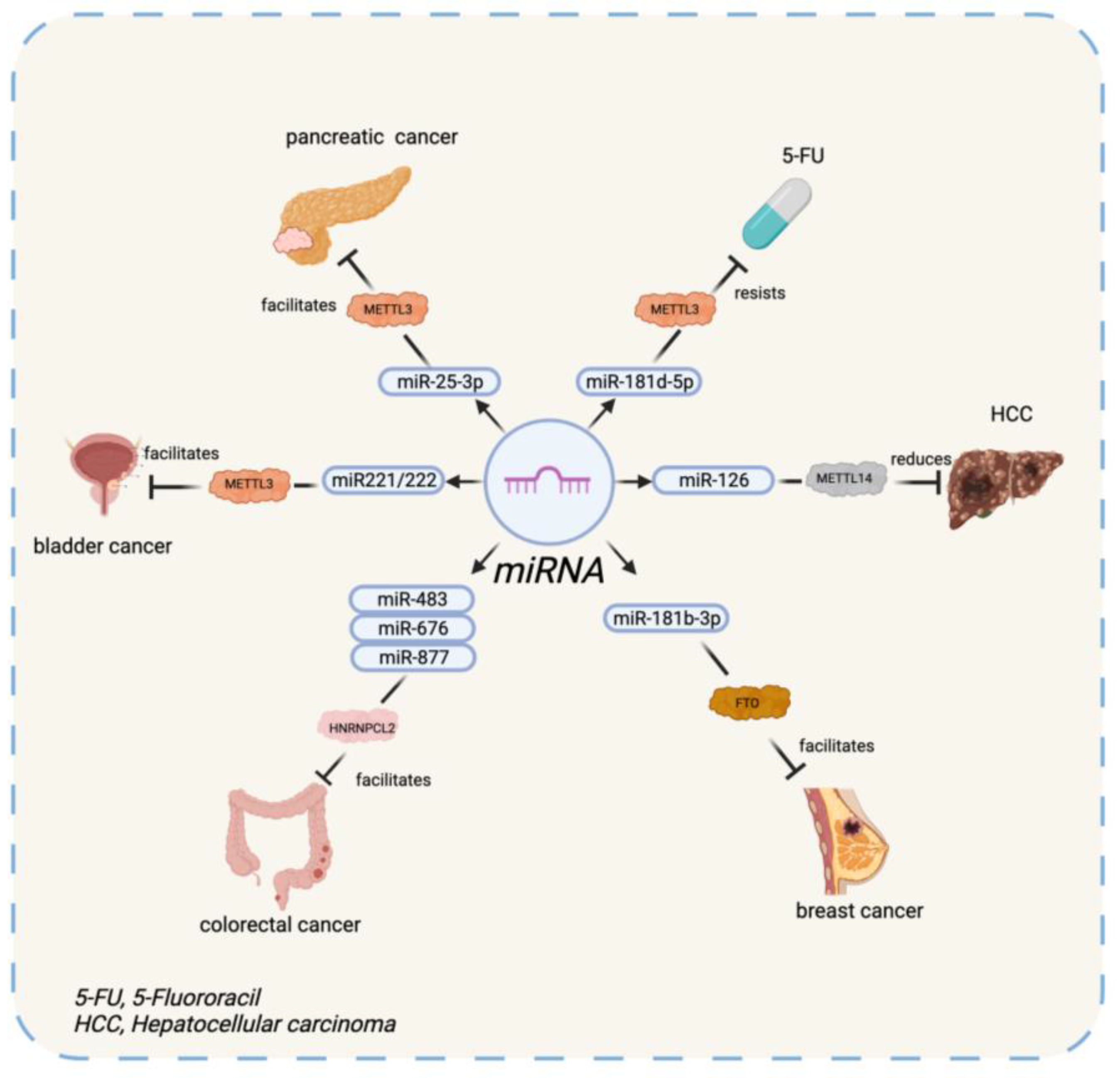 Diagnostics 12 02996 g001 Diagnostics 12 02996 g001