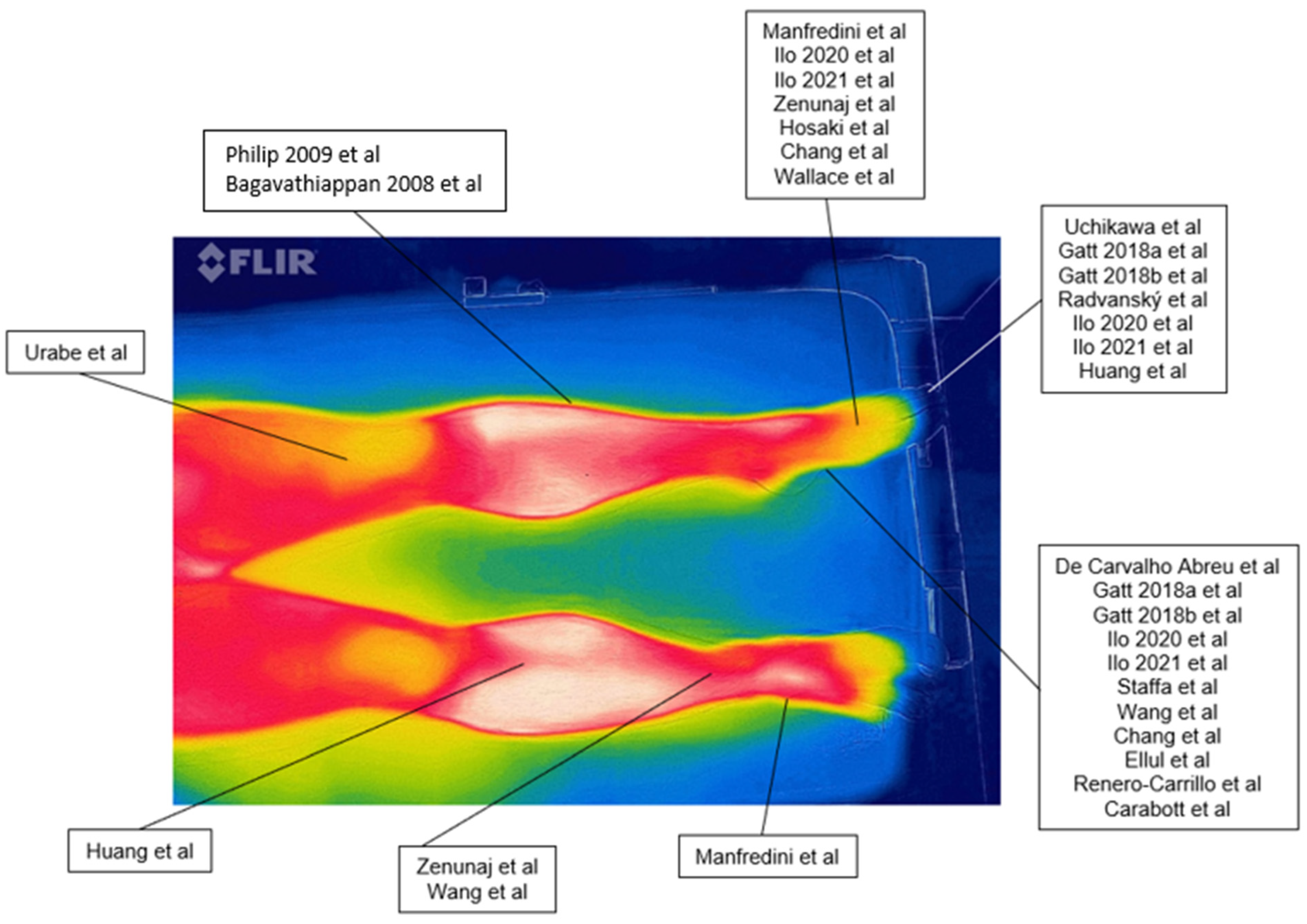 Diagnostics 12 03007 g002