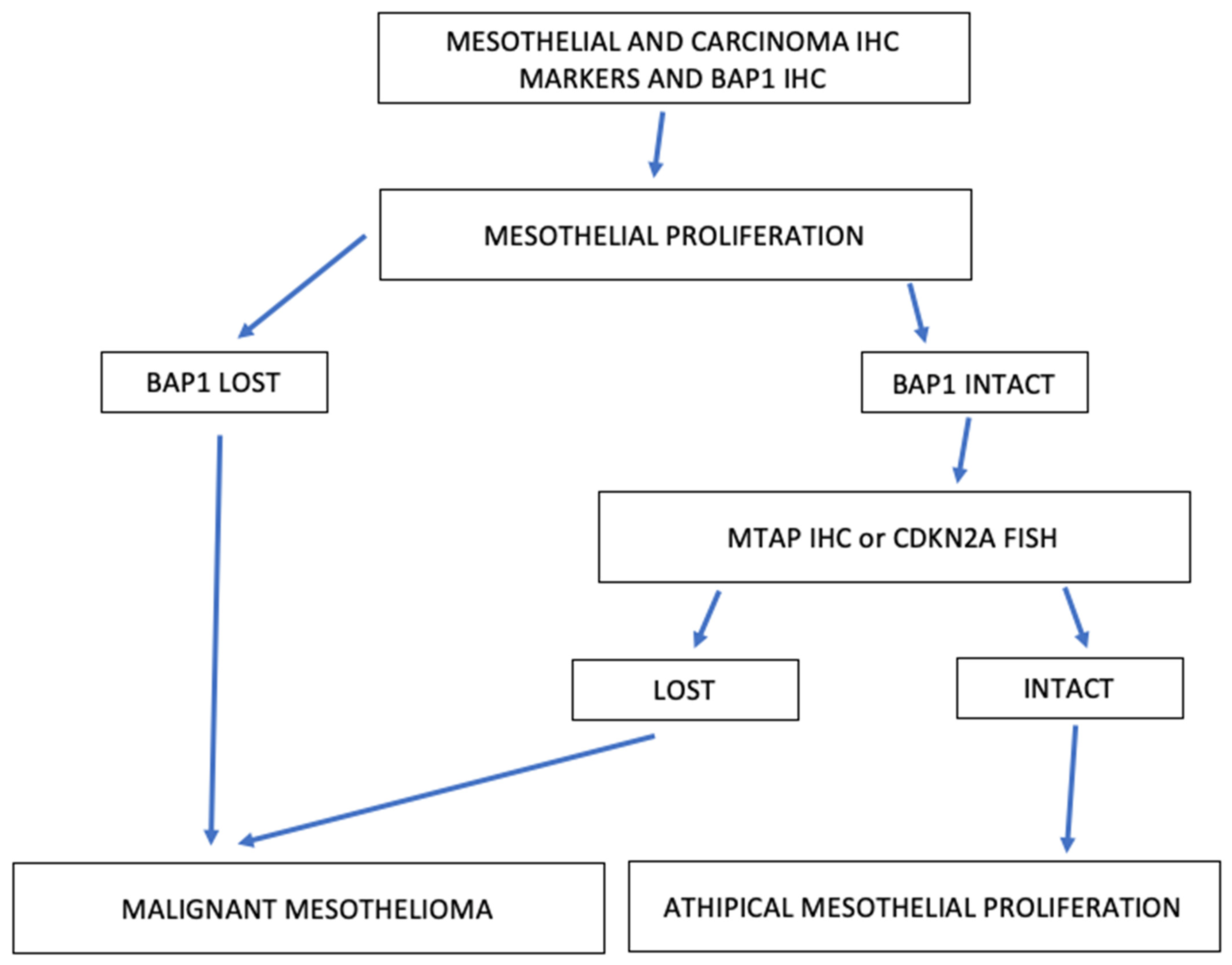 Diagnostics 12 03009 g001 Diagnostics 12 03009 g001