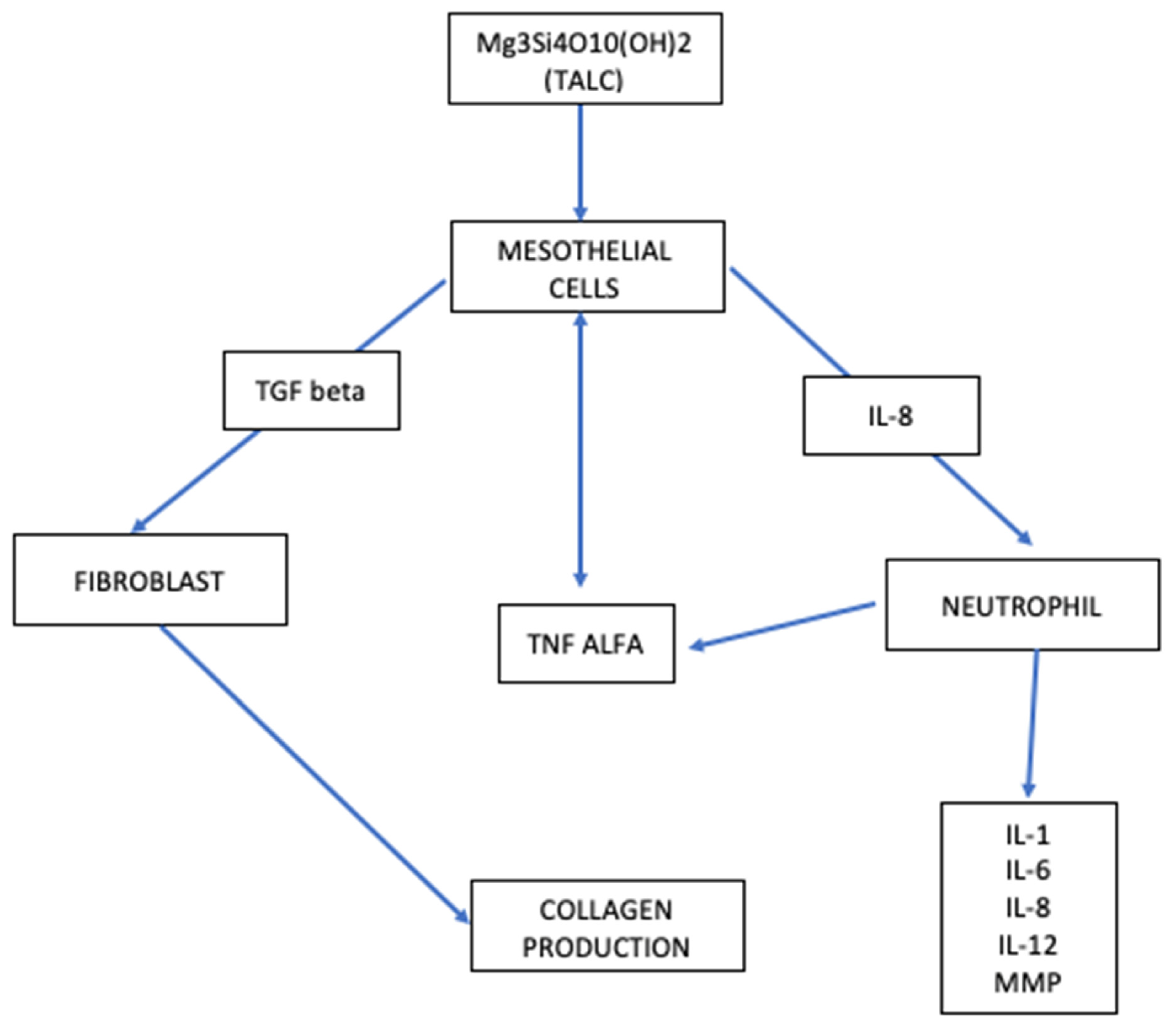 Diagnostics 12 03009 g002 Diagnostics 12 03009 g002