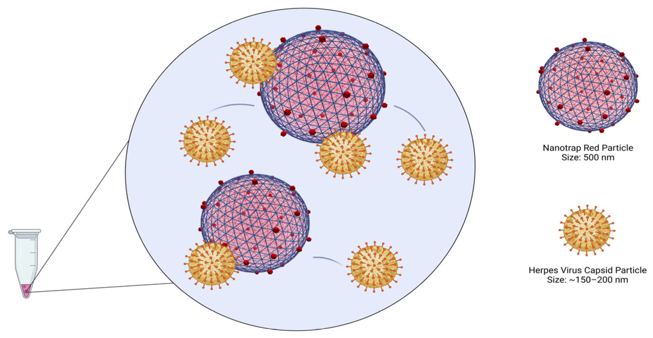 Diagnostics 12 03016 g002