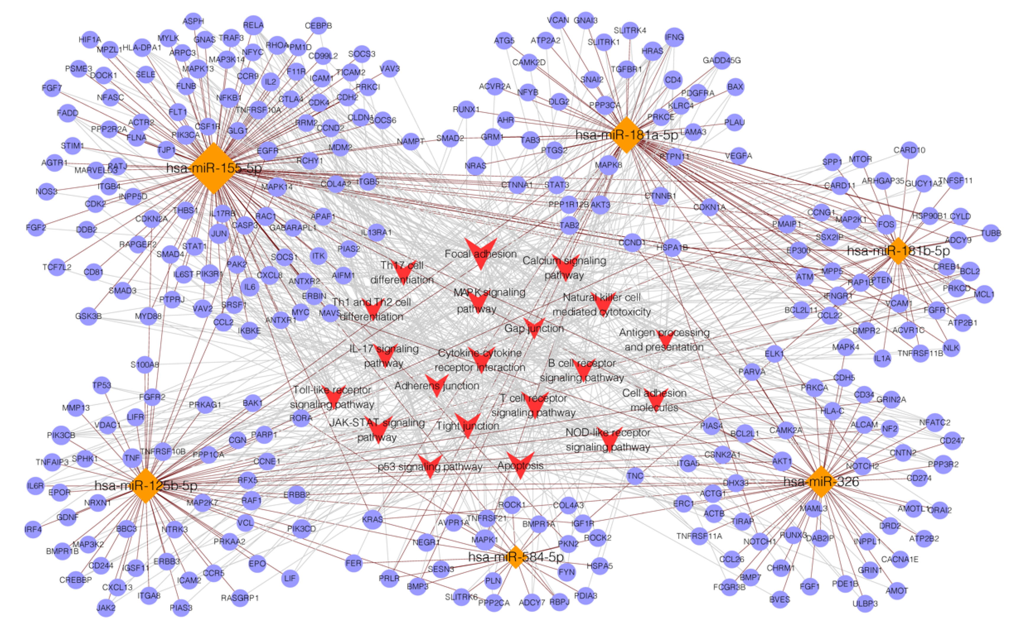 Diagnostics 12 03058 g004 Diagnostics 12 03058 g004