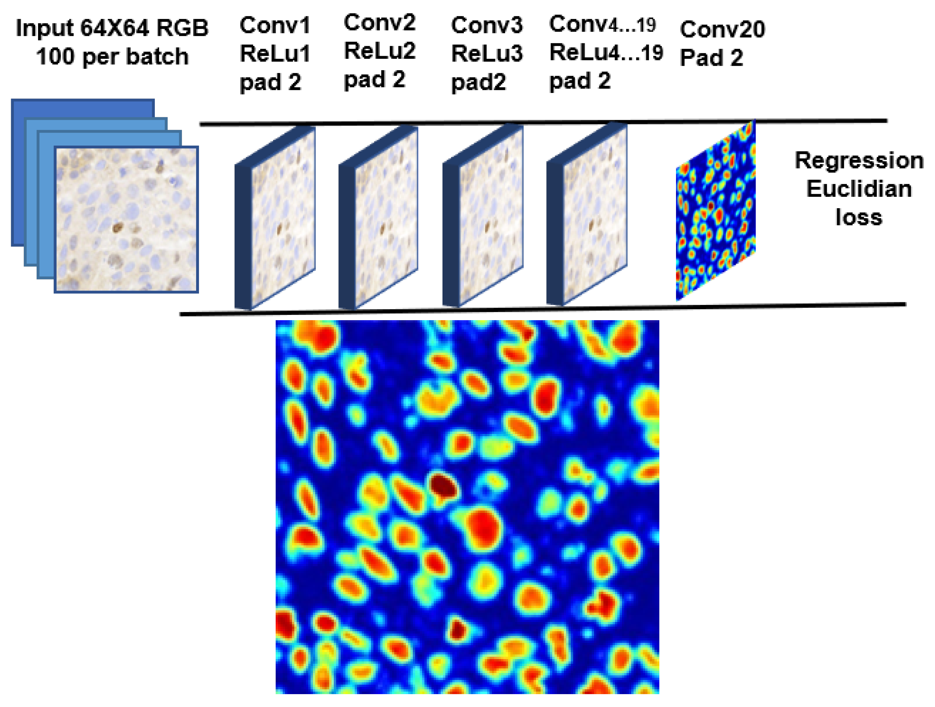 Diagnostics 12 03093 g002