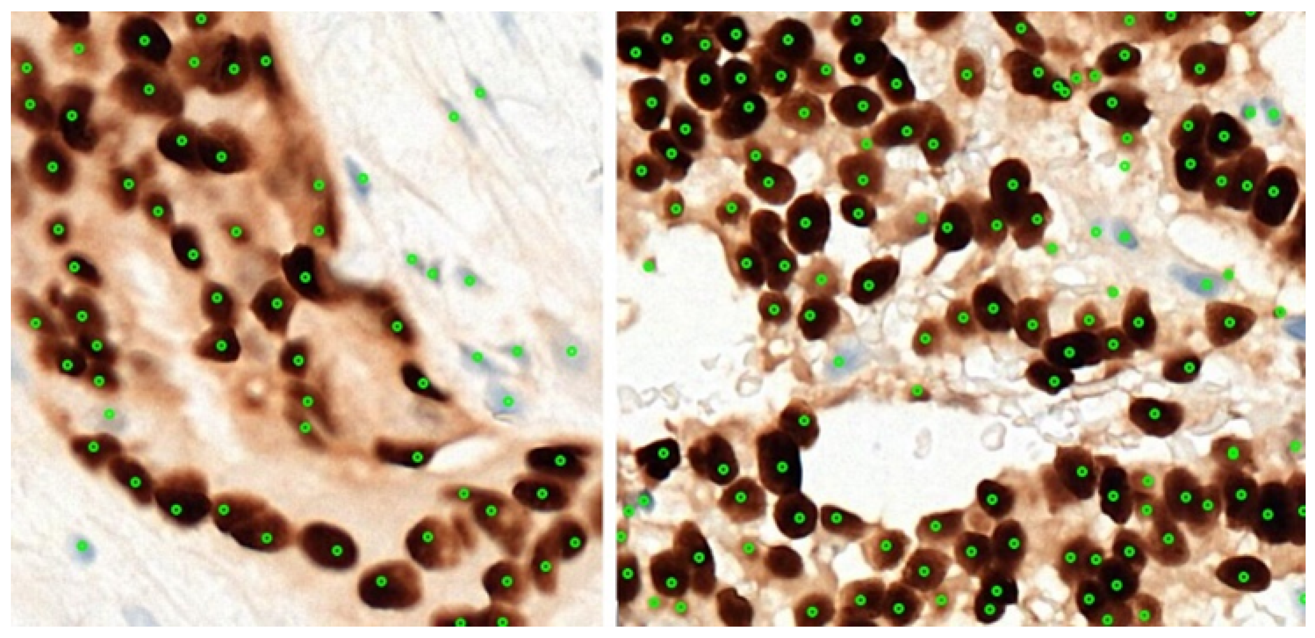 Diagnostics 12 03093 g006