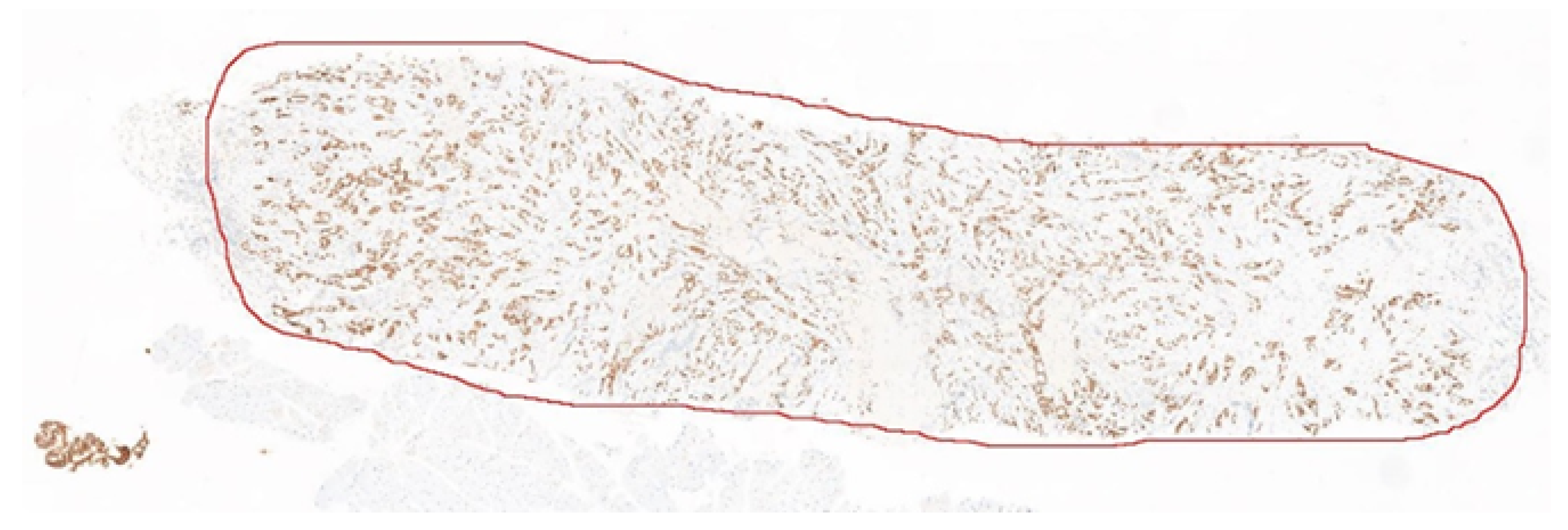 Diagnostics 12 03093 g007