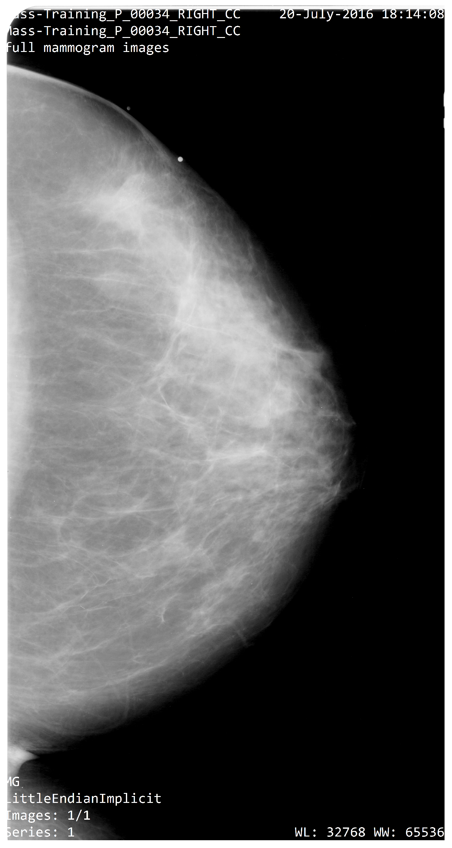 Diagnostics 12 03099 g002