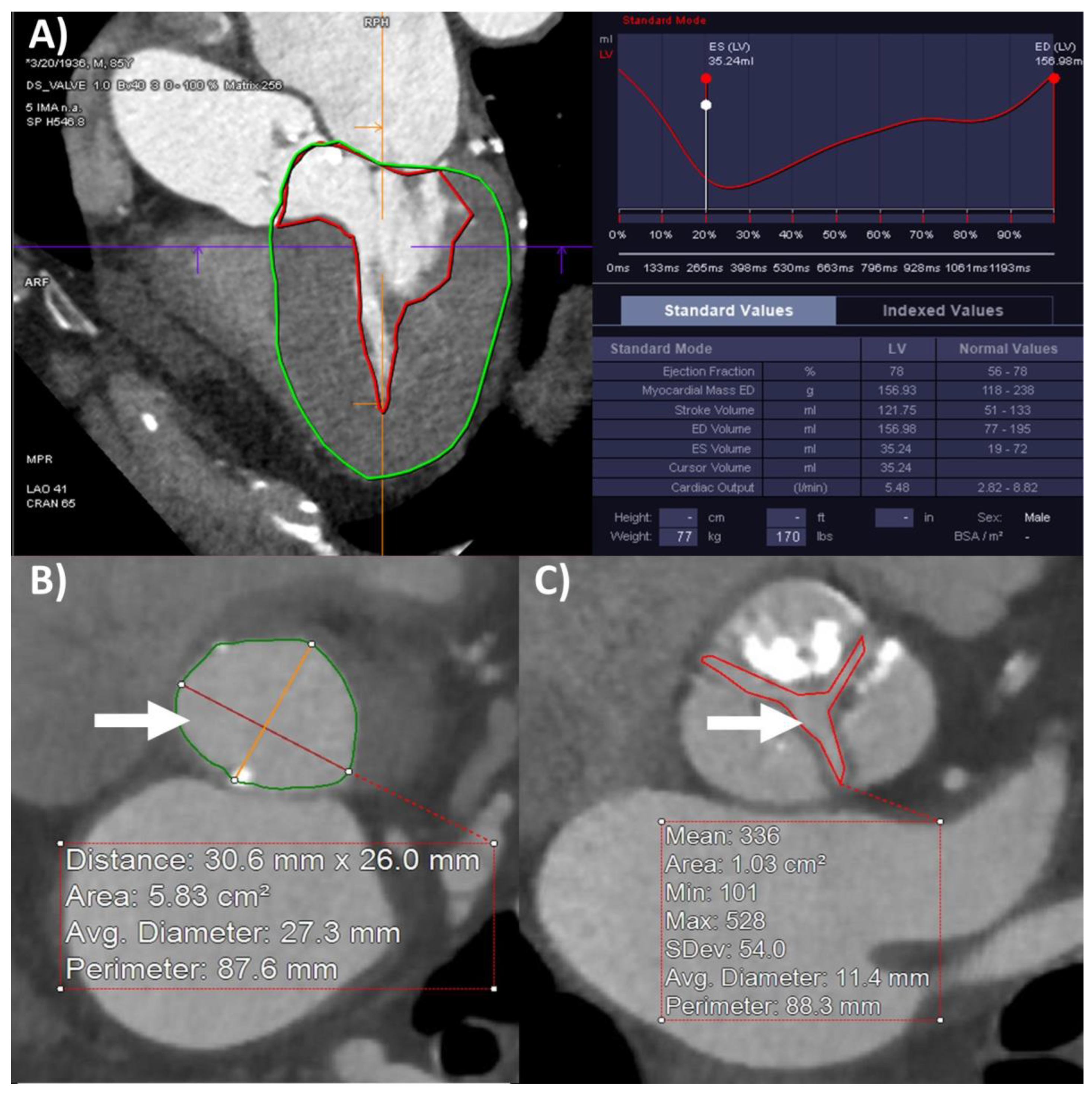 Diagnostics 12 03106 g001