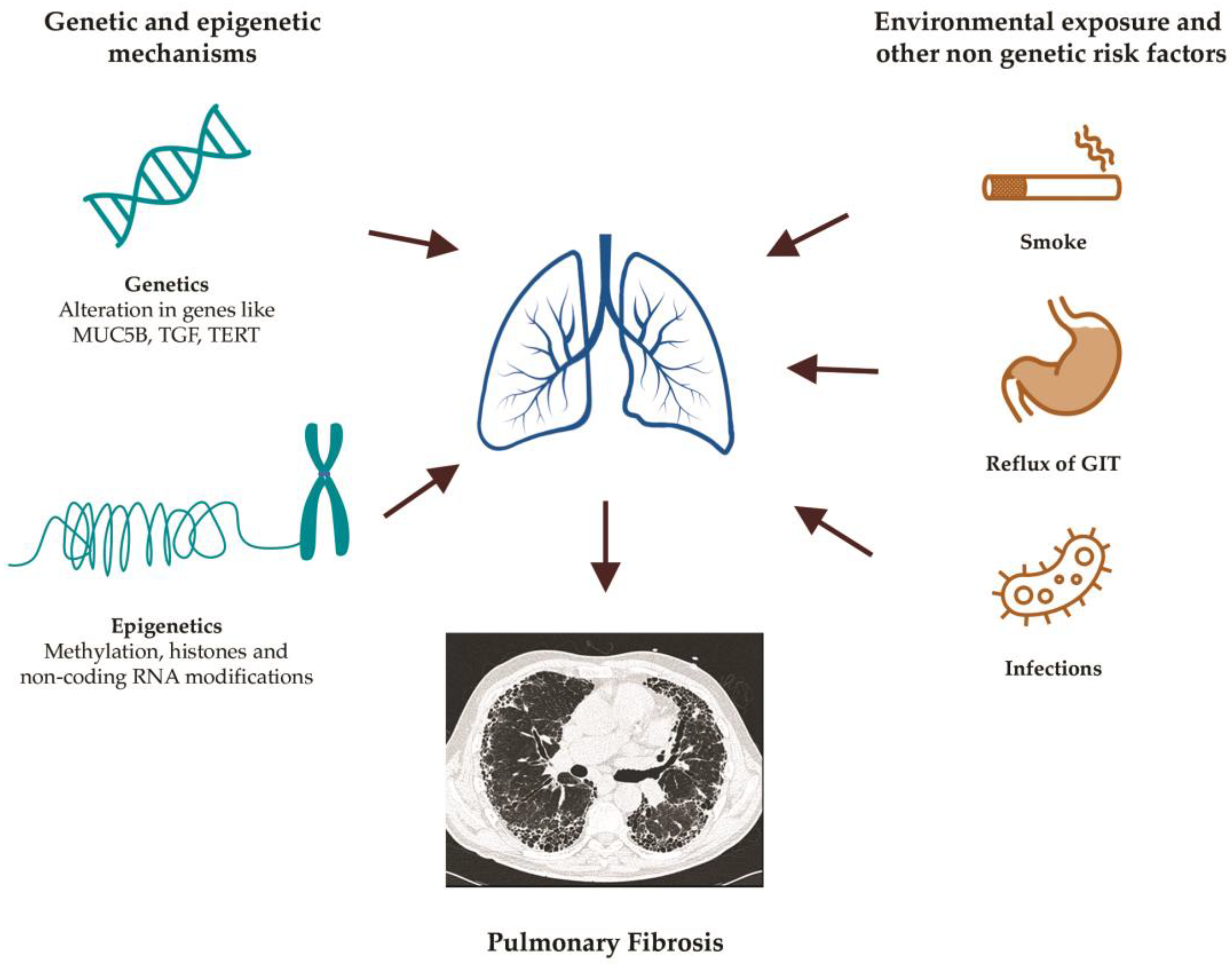 Diagnostics 12 03107 g001 Diagnostics 12 03107 g001