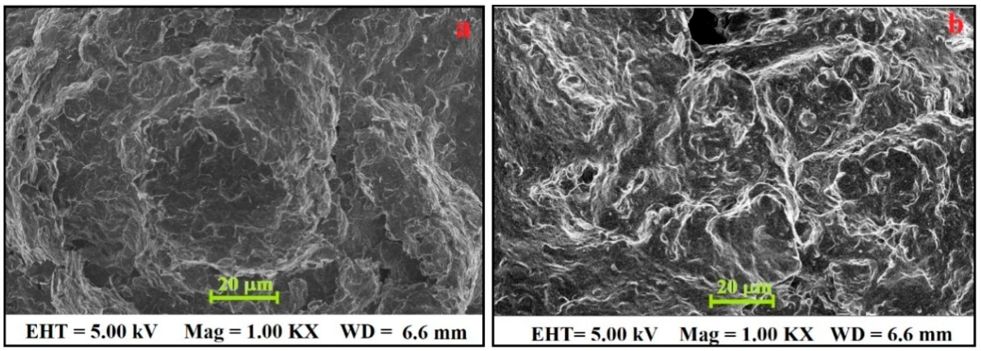 Diagnostics 12 03113 g001 Diagnostics 12 03113 g001