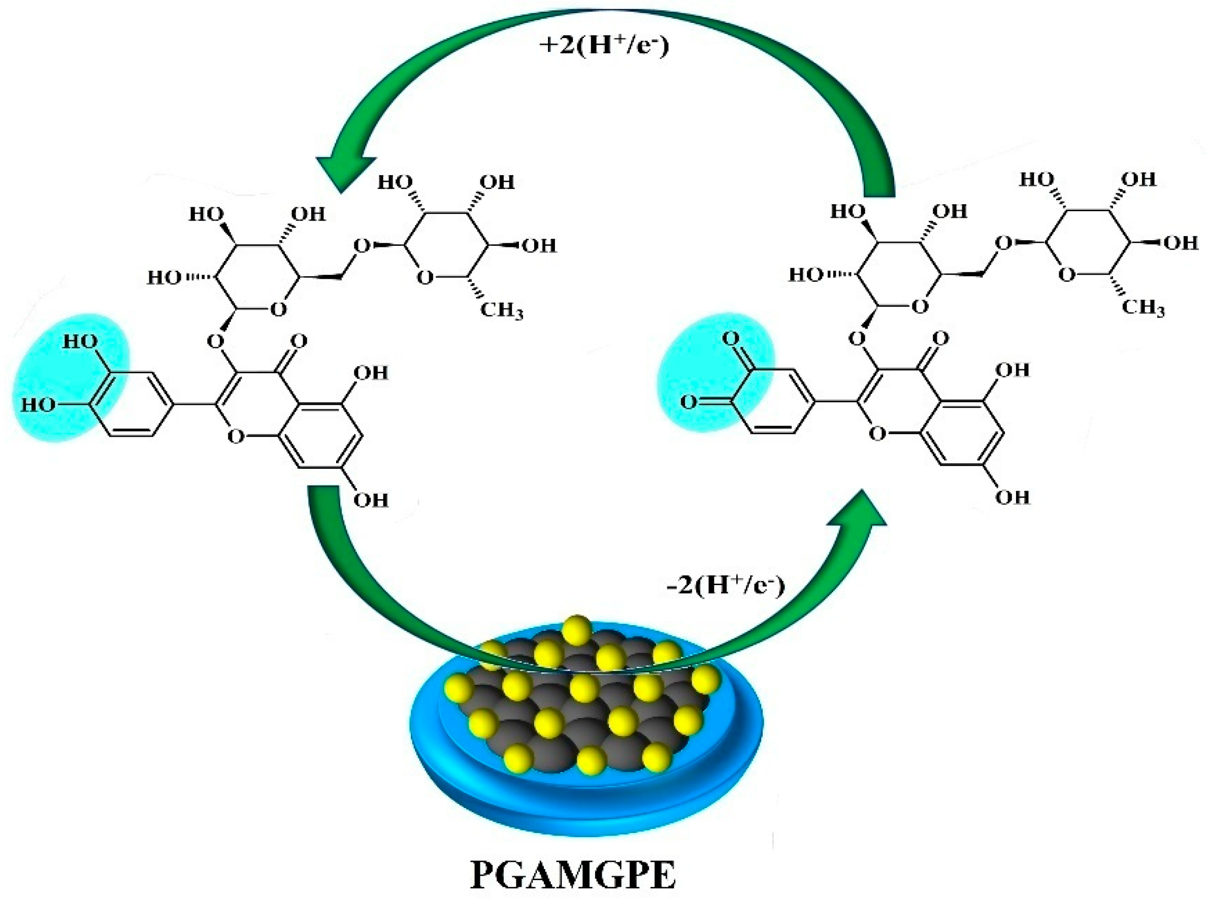 Diagnostics 12 03113 sch002 Diagnostics 12 03113 sch002