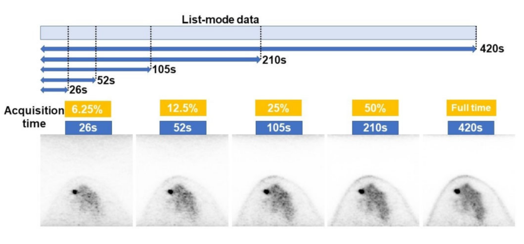 Diagnostics 12 03114 g001