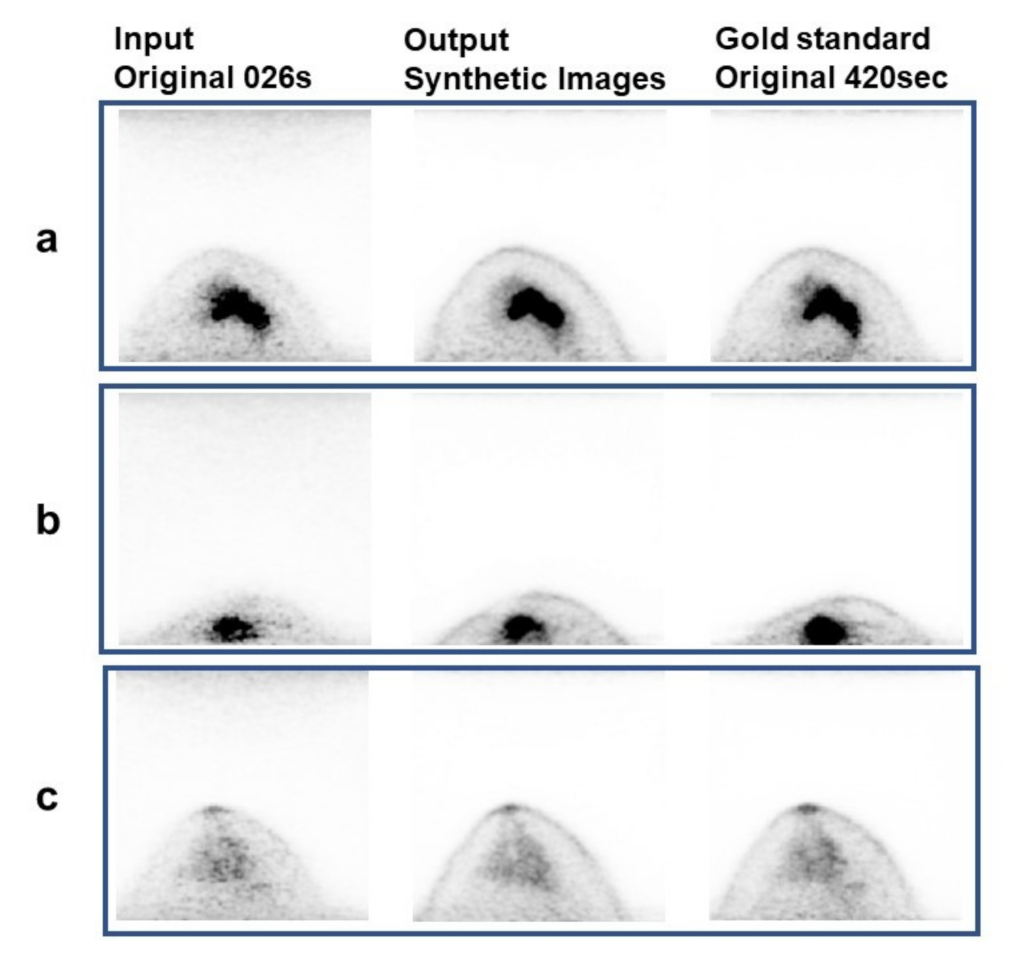 Diagnostics 12 03114 g003