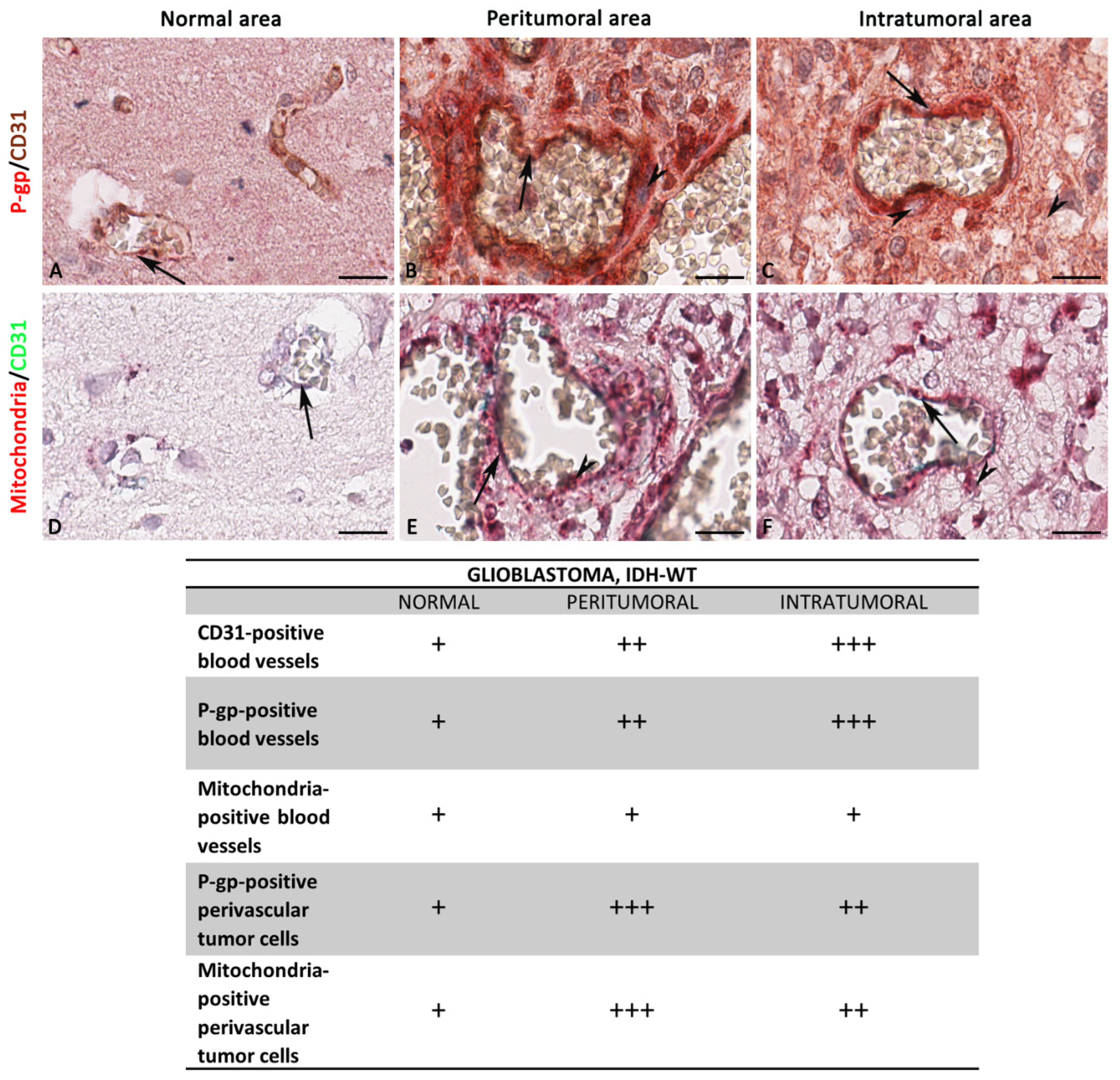 Diagnostics 12 03120 g009