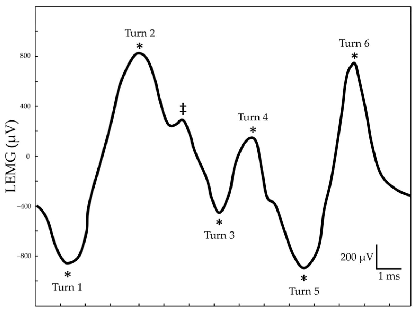 Diagnostics 12 03124 g002