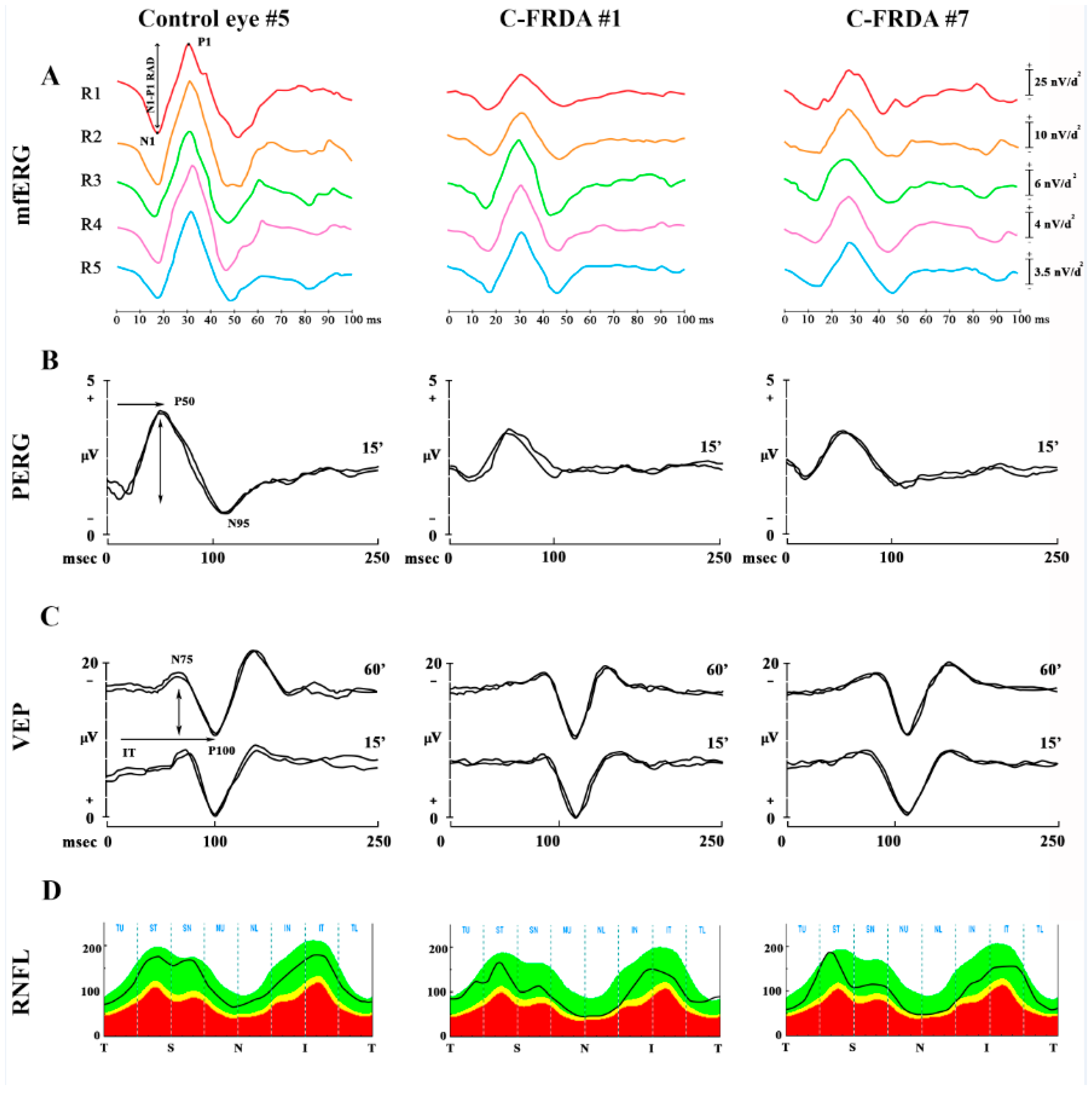 Diagnostics 12 03135 g001