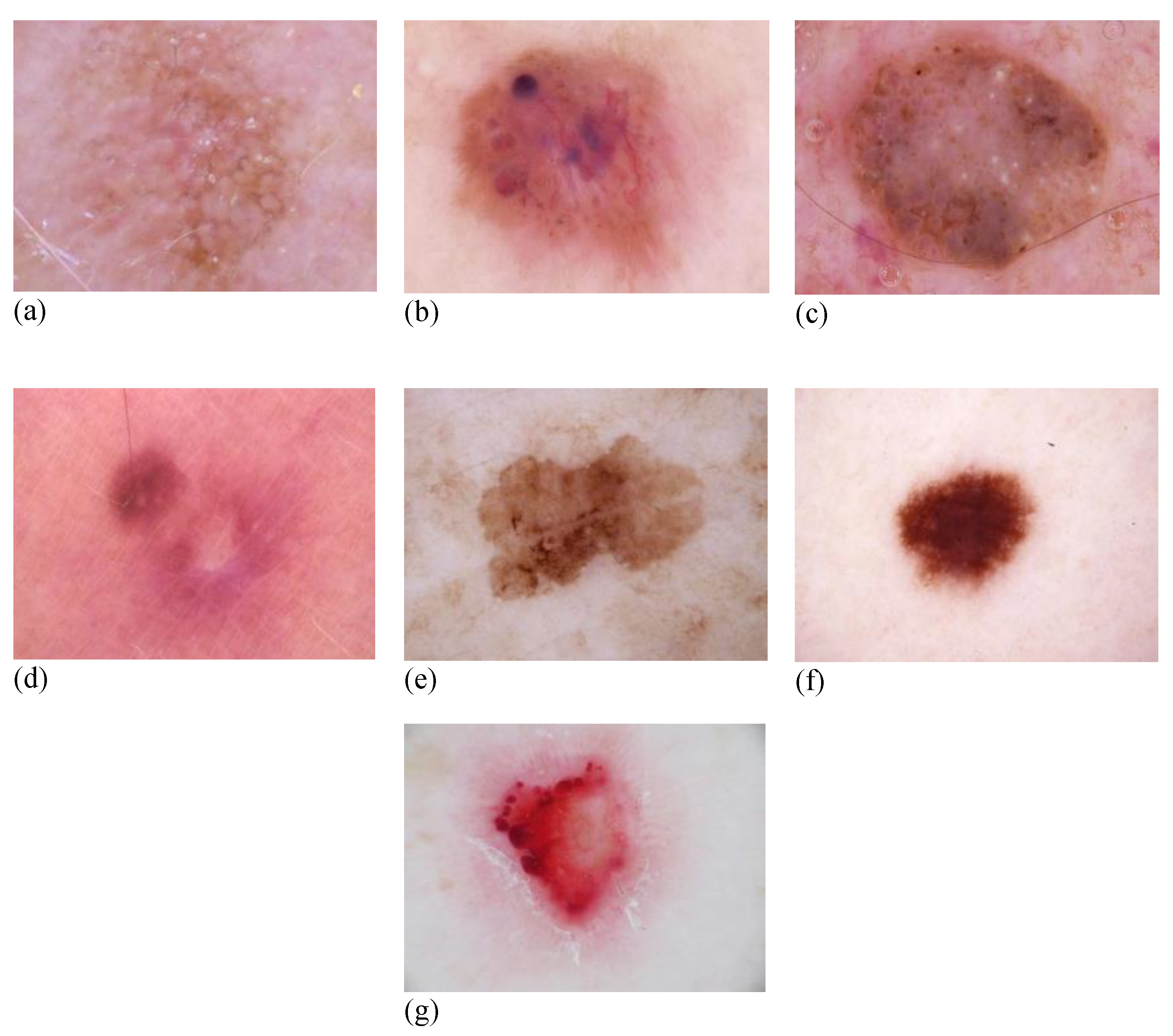 Diagnostics 12 03145 g002