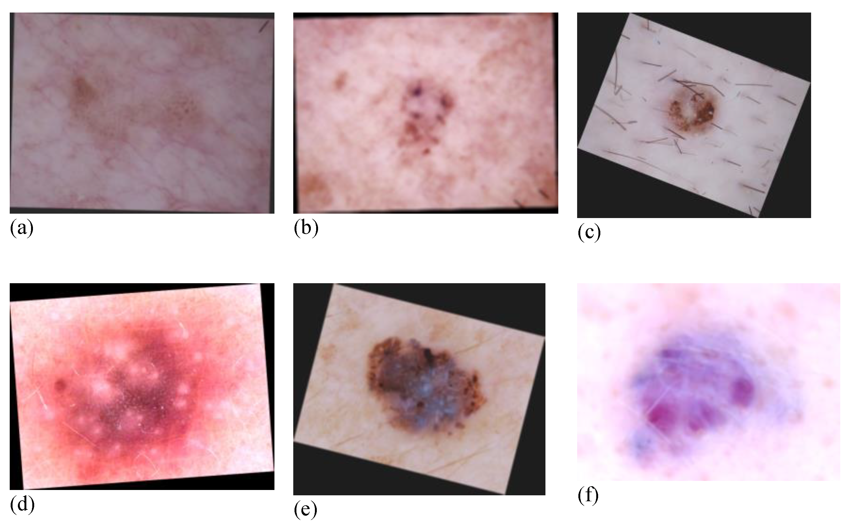 Diagnostics 12 03145 g003