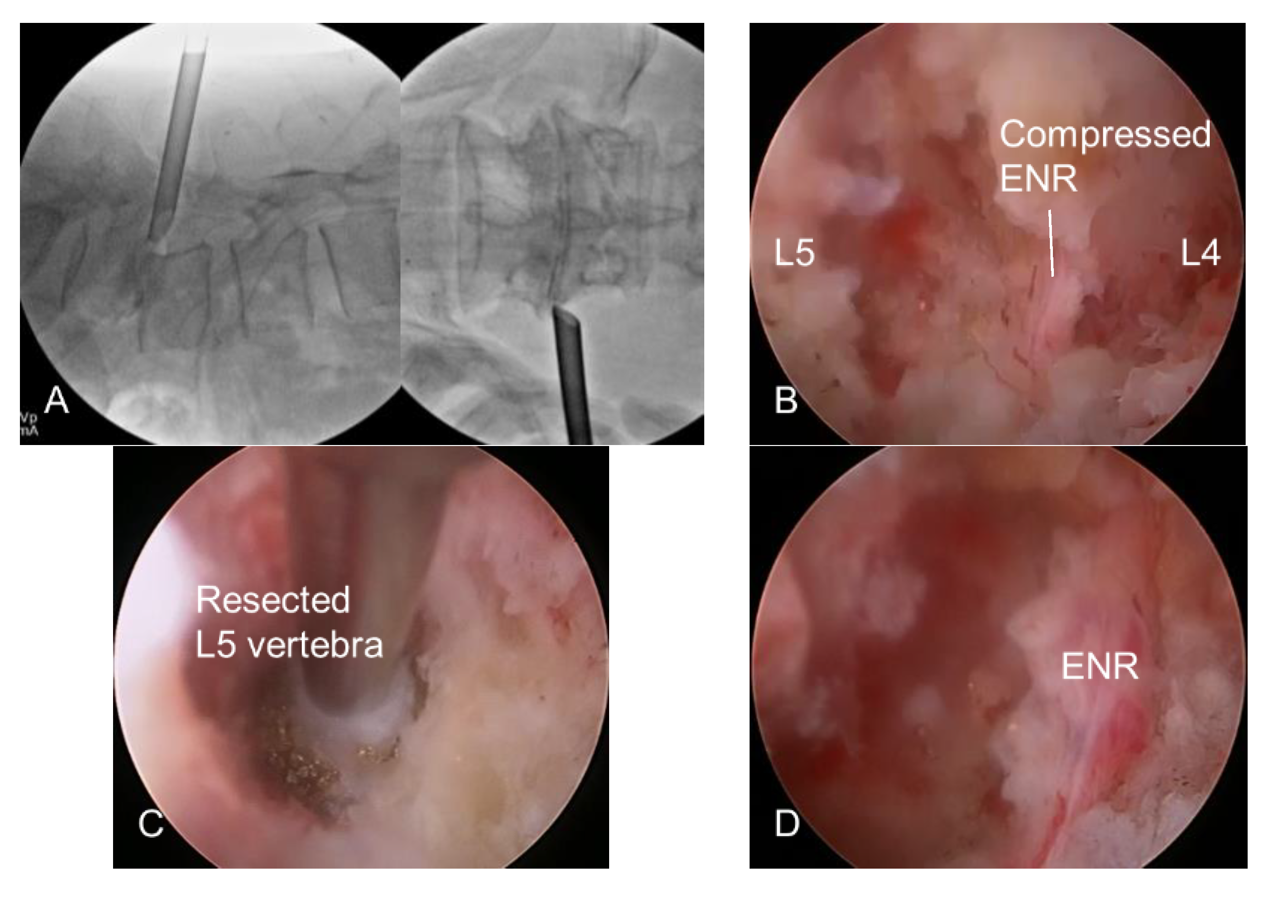 Diagnostics 12 03152 g002 Diagnostics 12 03152 g002