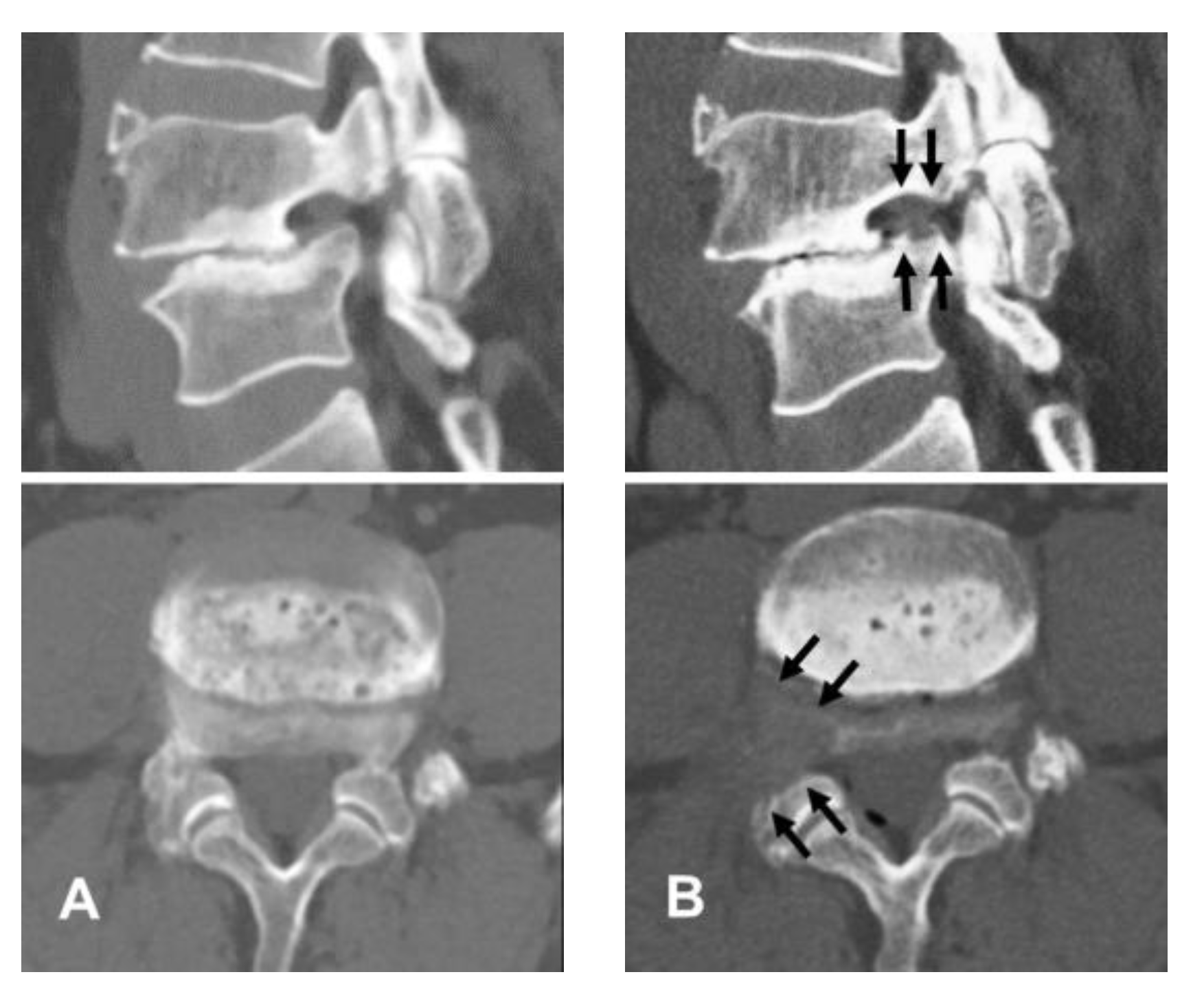 Diagnostics 12 03152 g004 Diagnostics 12 03152 g004