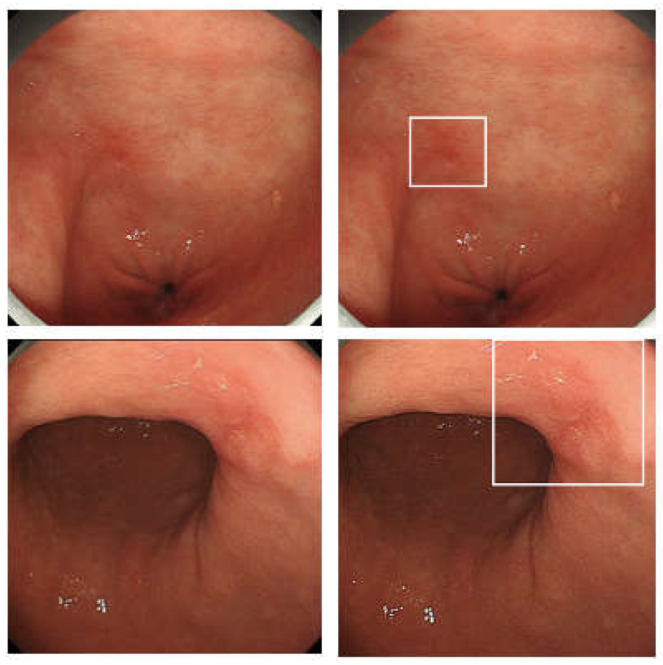 Diagnostics 12 03153 g001