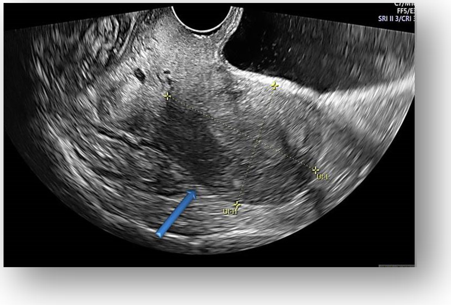 Diagnostics 12 03166 g003