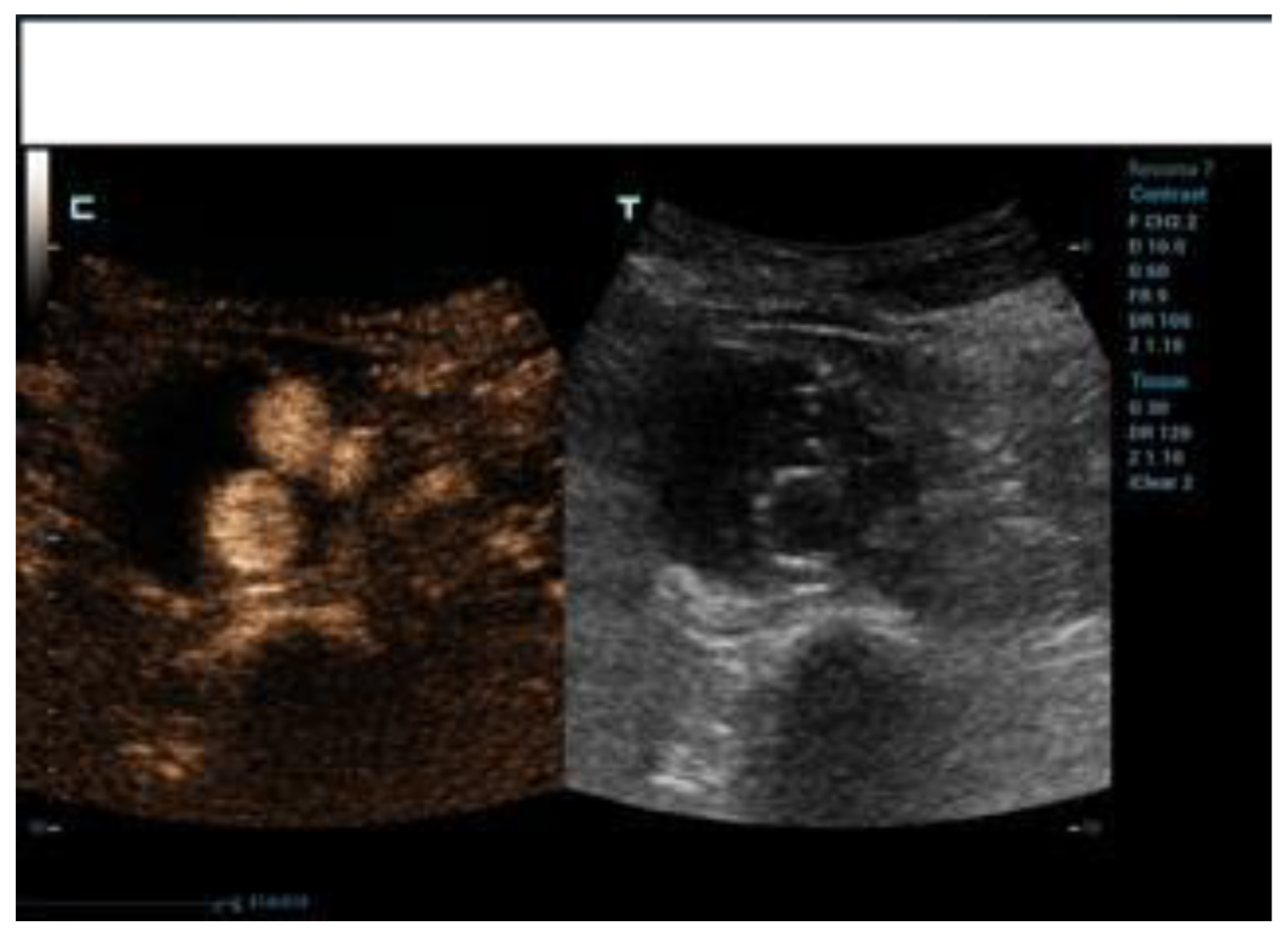 Diagnostics 12 03173 g005