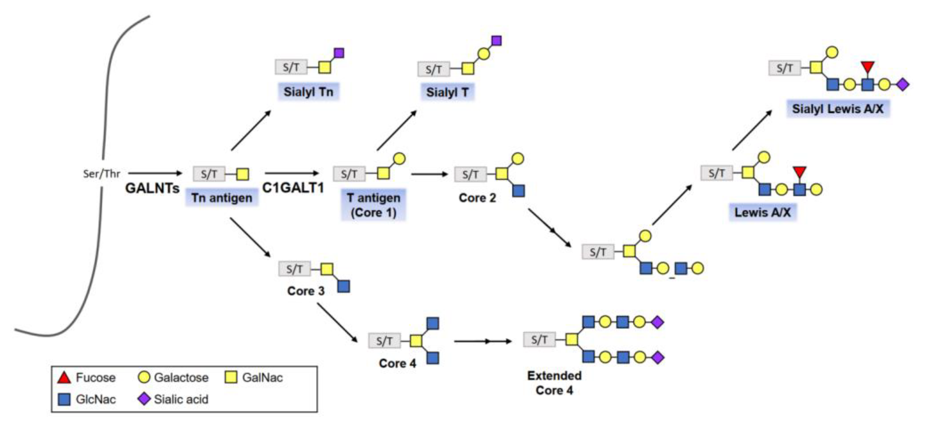 Diagnostics 12 03177 g003 Diagnostics 12 03177 g003