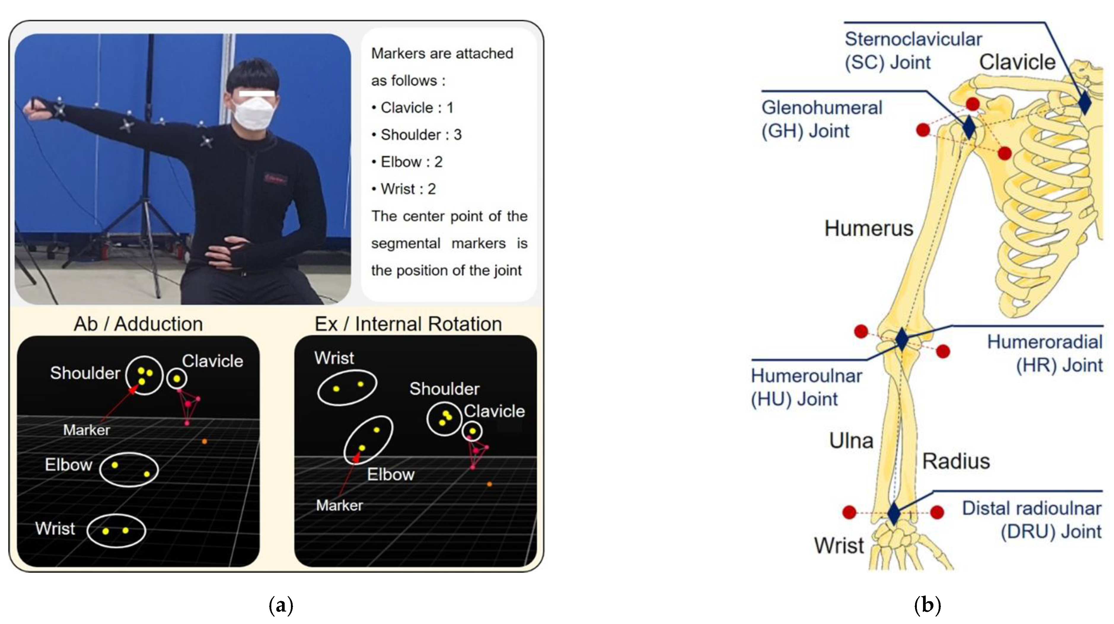 Diagnostics 12 03179 g002