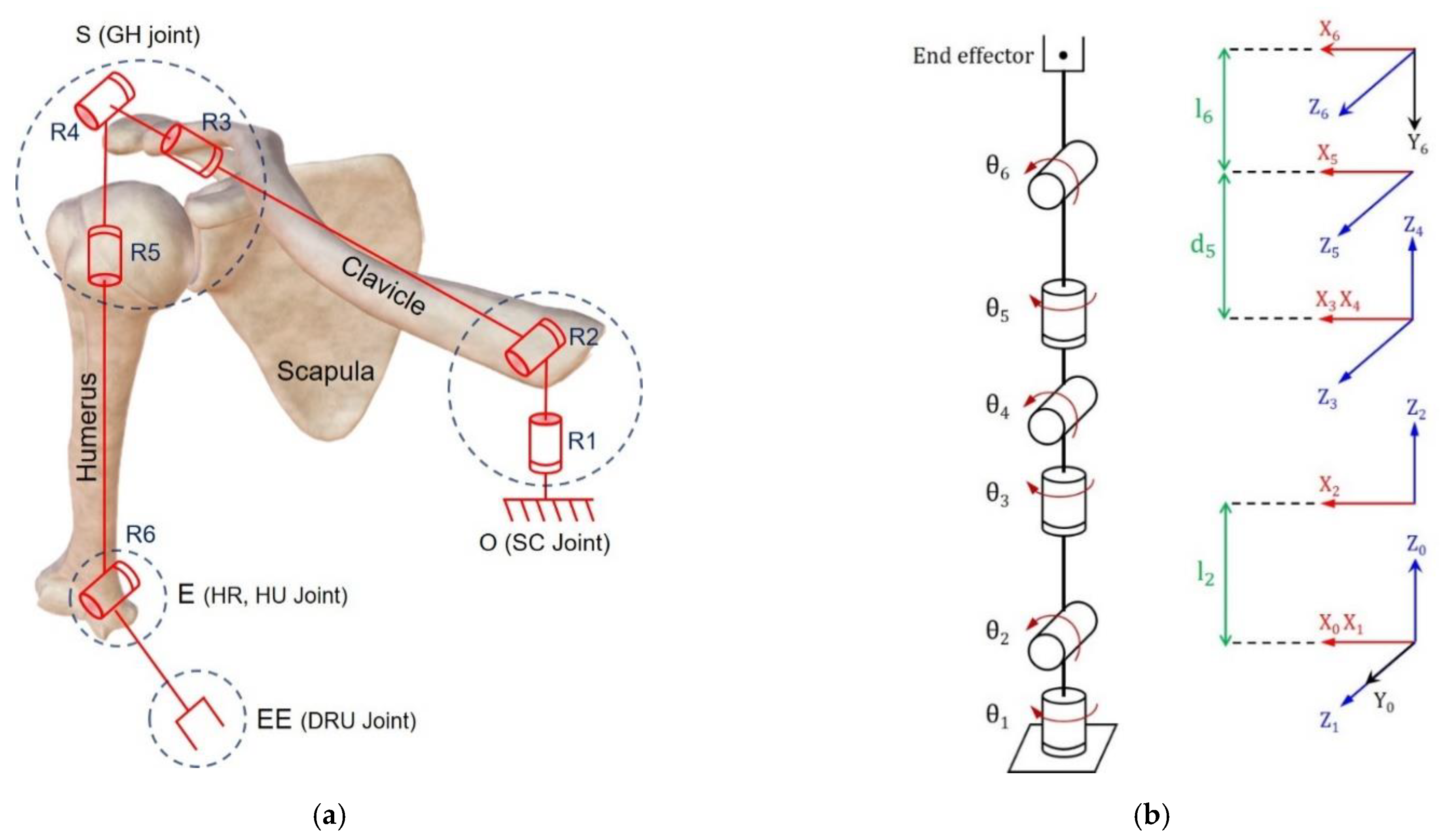 Diagnostics 12 03179 g003