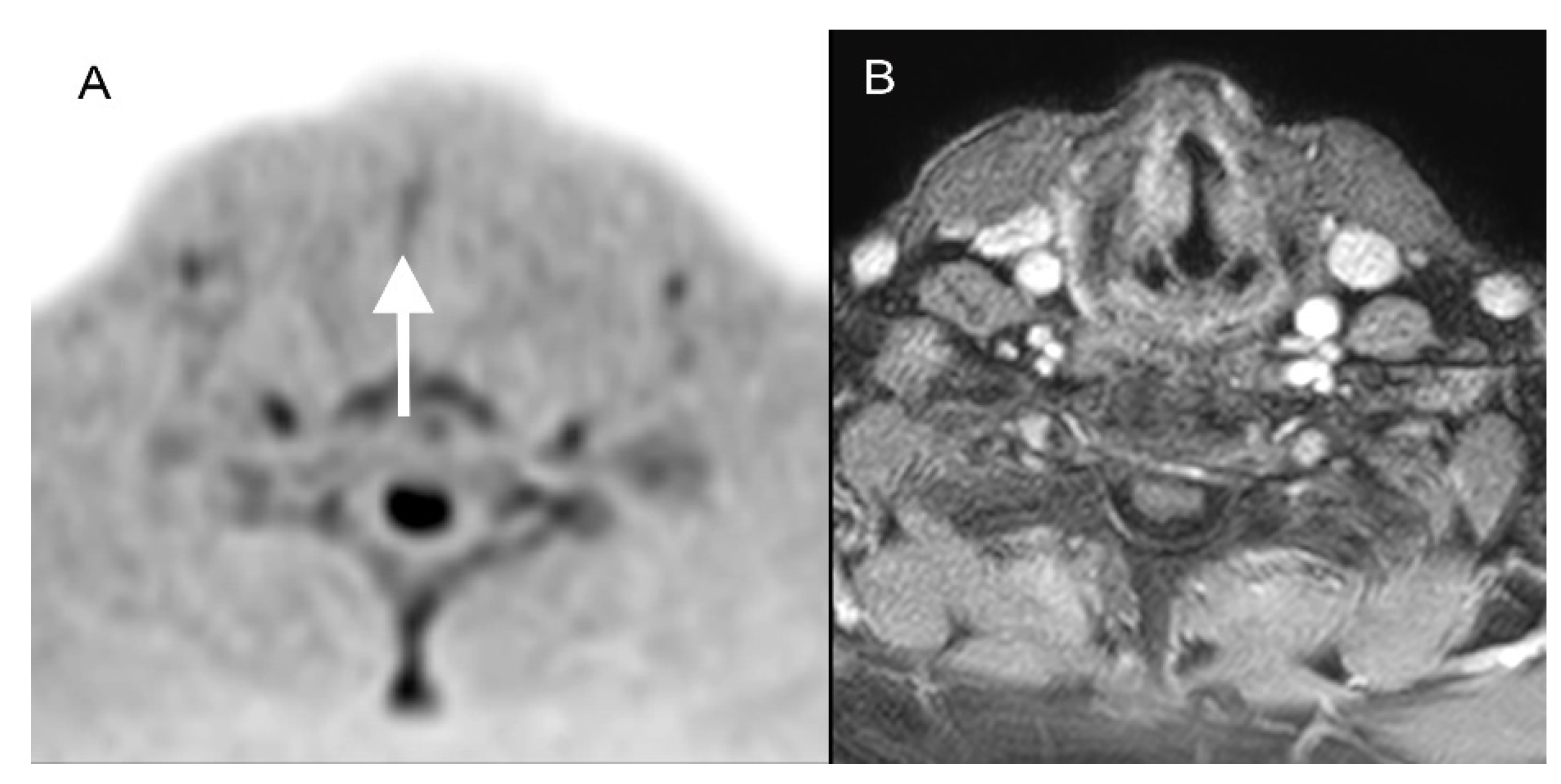 Diagnostics 12 03200 g003 Diagnostics 12 03200 g003