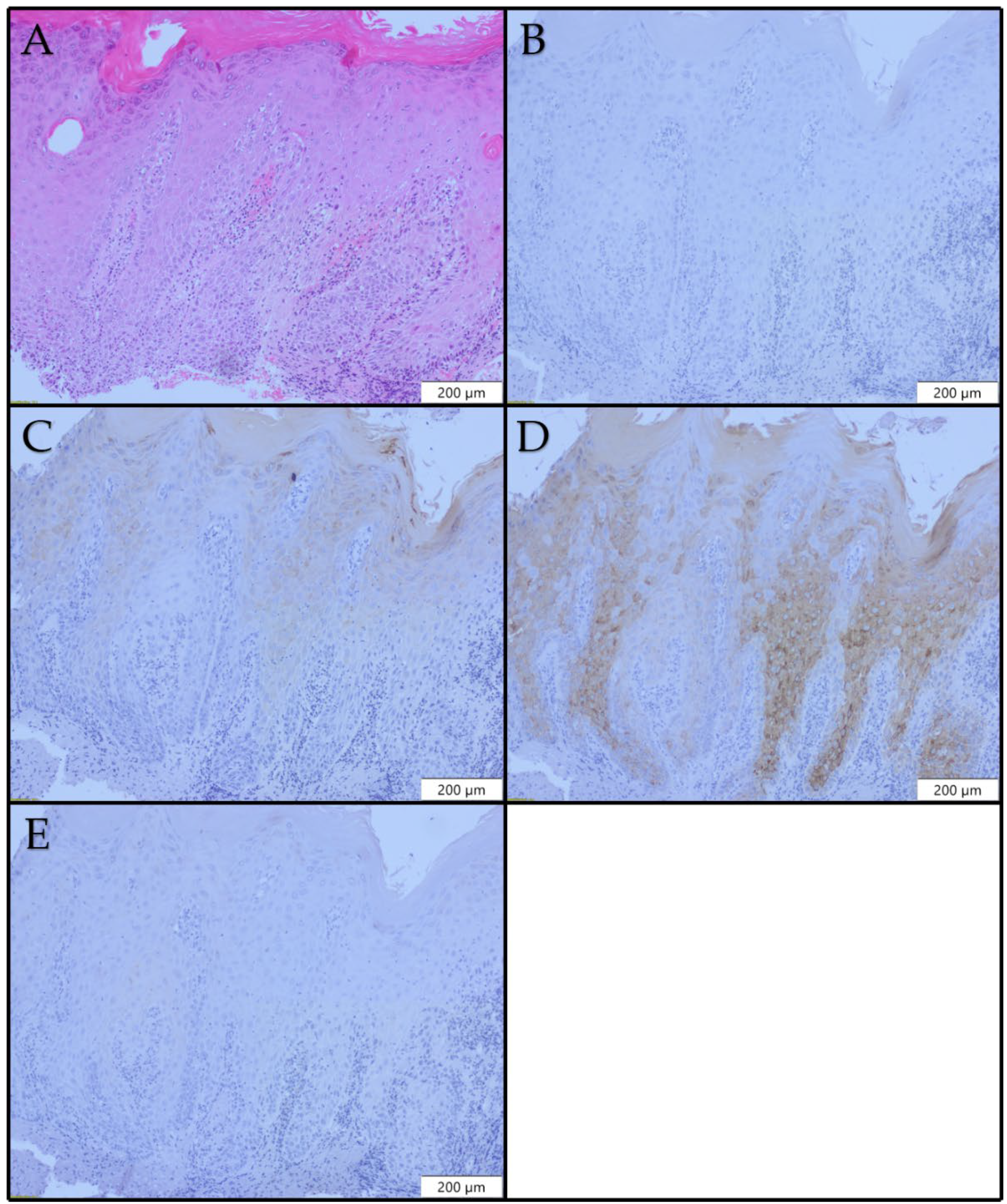 Diagnostics 12 03203 g003 Diagnostics 12 03203 g003