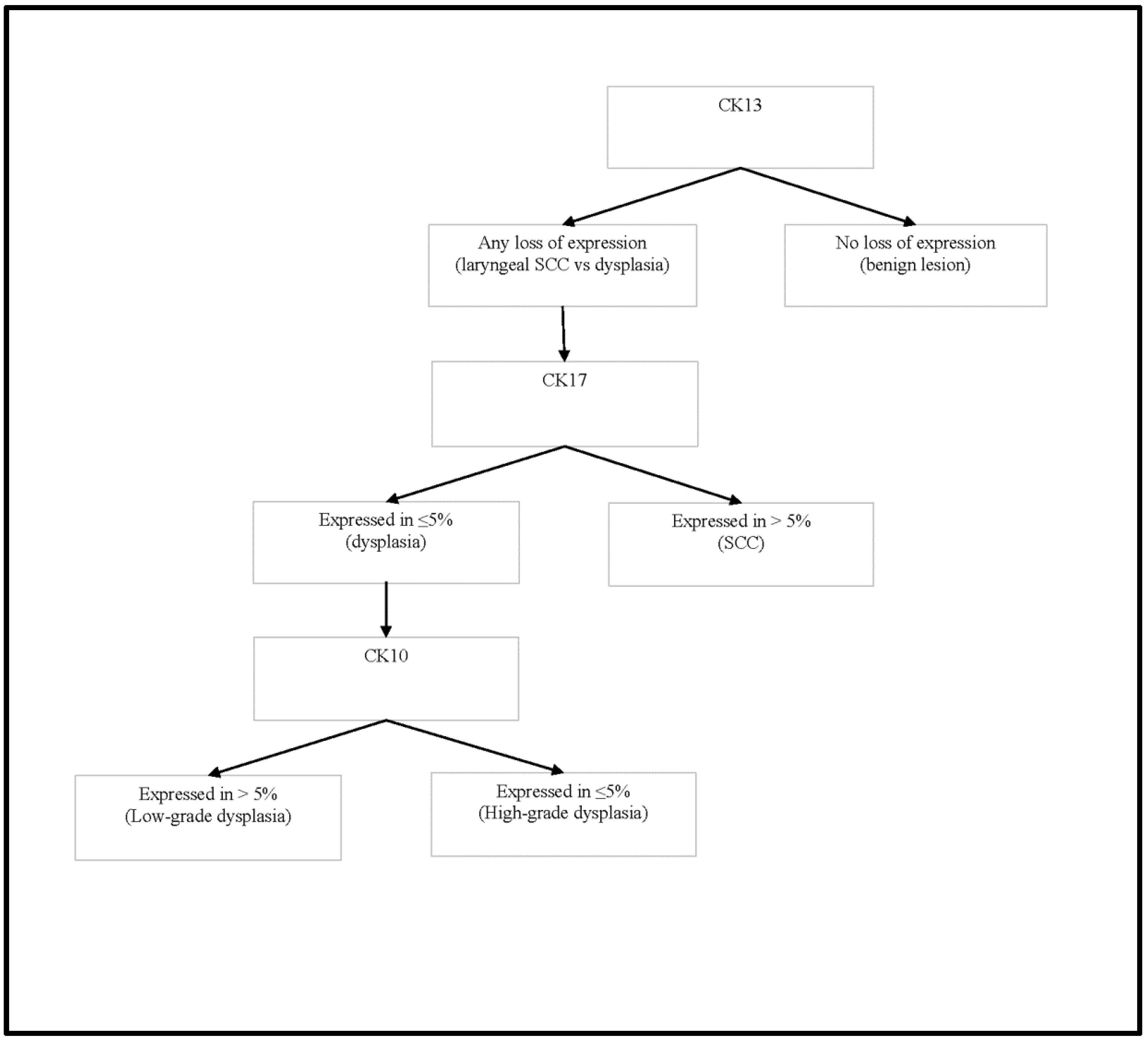 Diagnostics Free FullText Utility of CK8, CK10, CK13, and CK17 in