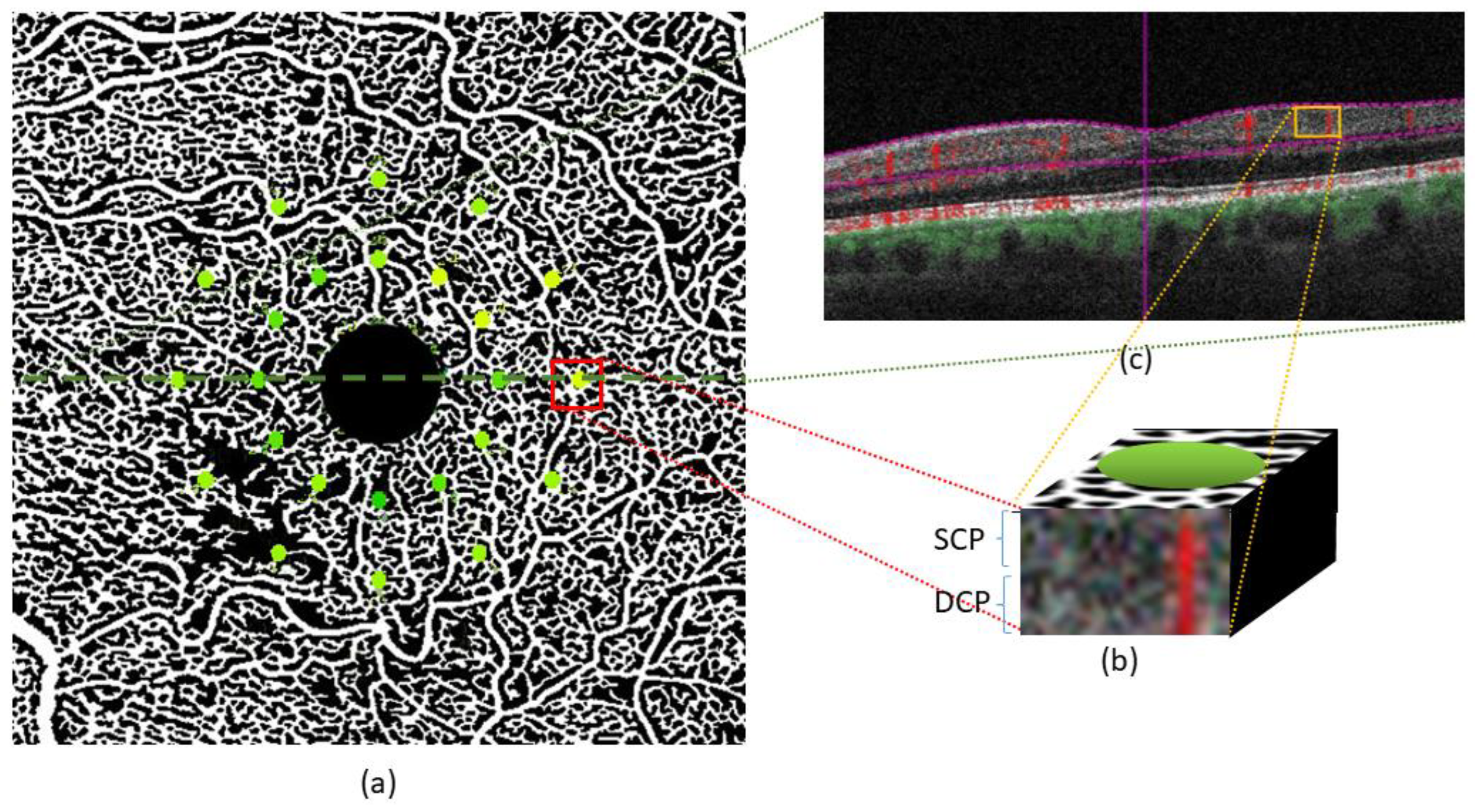 Diagnostics 12 03205 g002