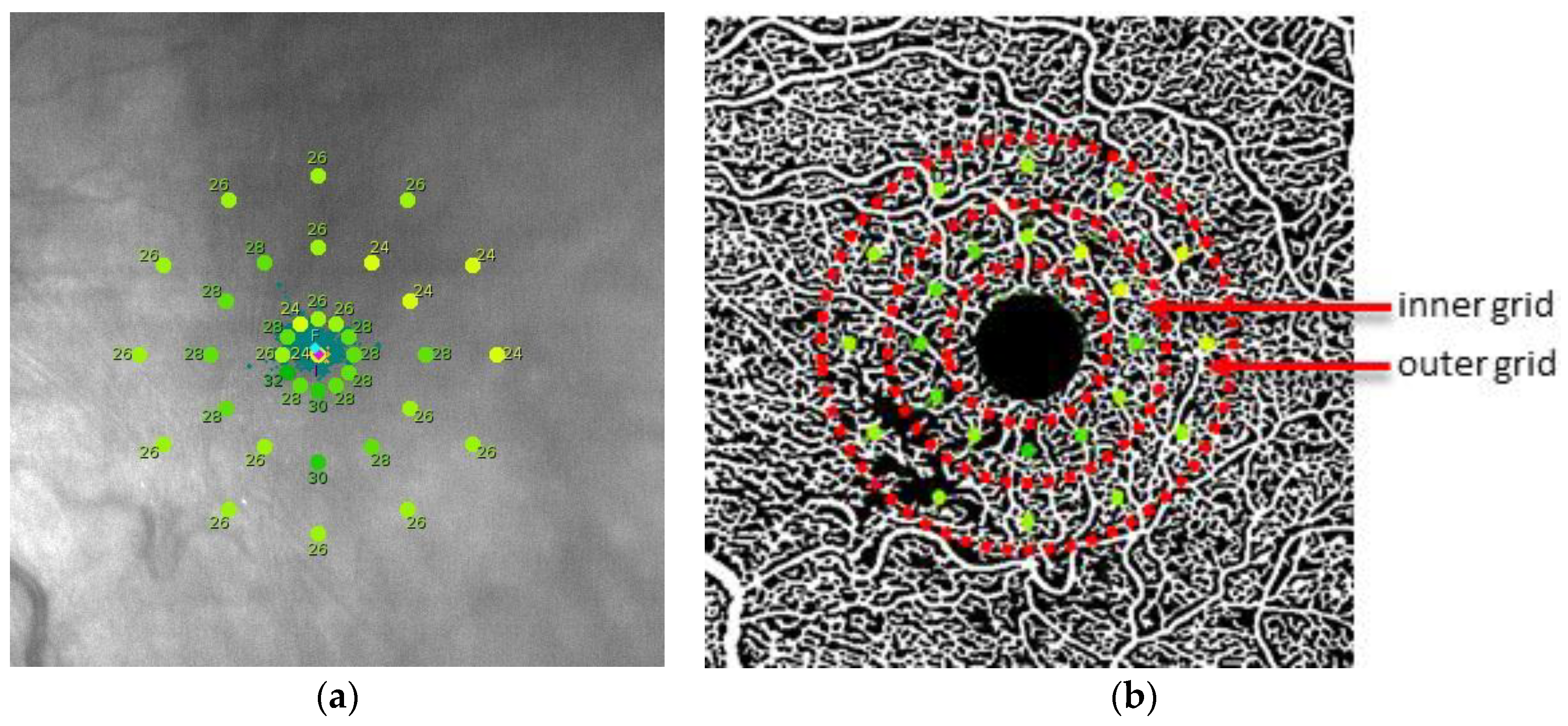 Diagnostics 12 03205 g003